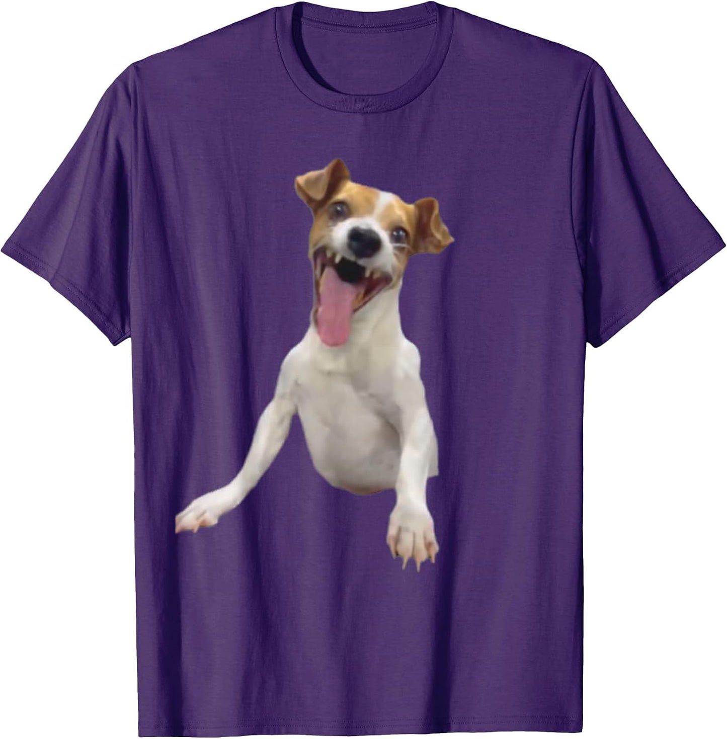 Laughing Dog Meme Funny