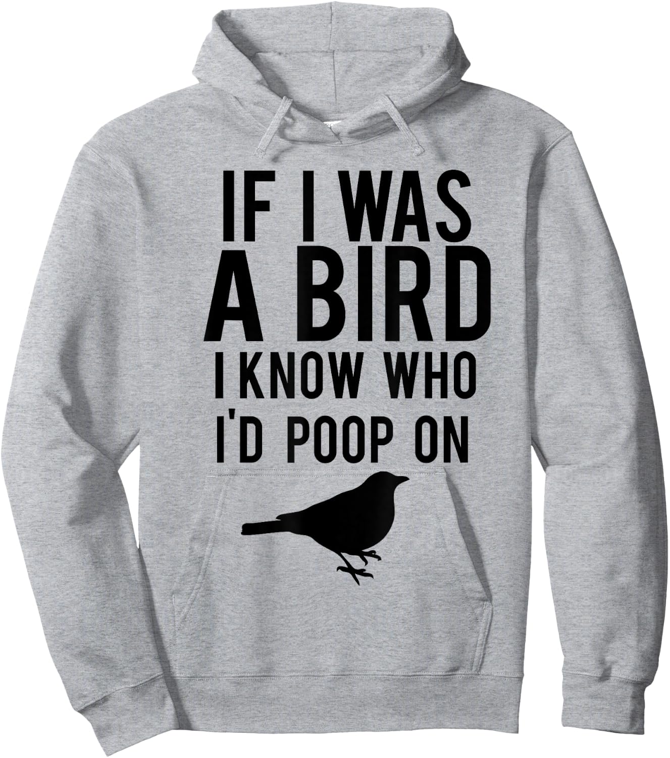 If I Was A Bird I Know Who I'd Poop On Funny Hoodie - Hoodie | Ash