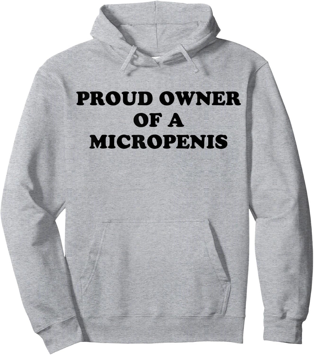 Proud Owner Of A Micropenis Hoodie - Hoodie | Ash