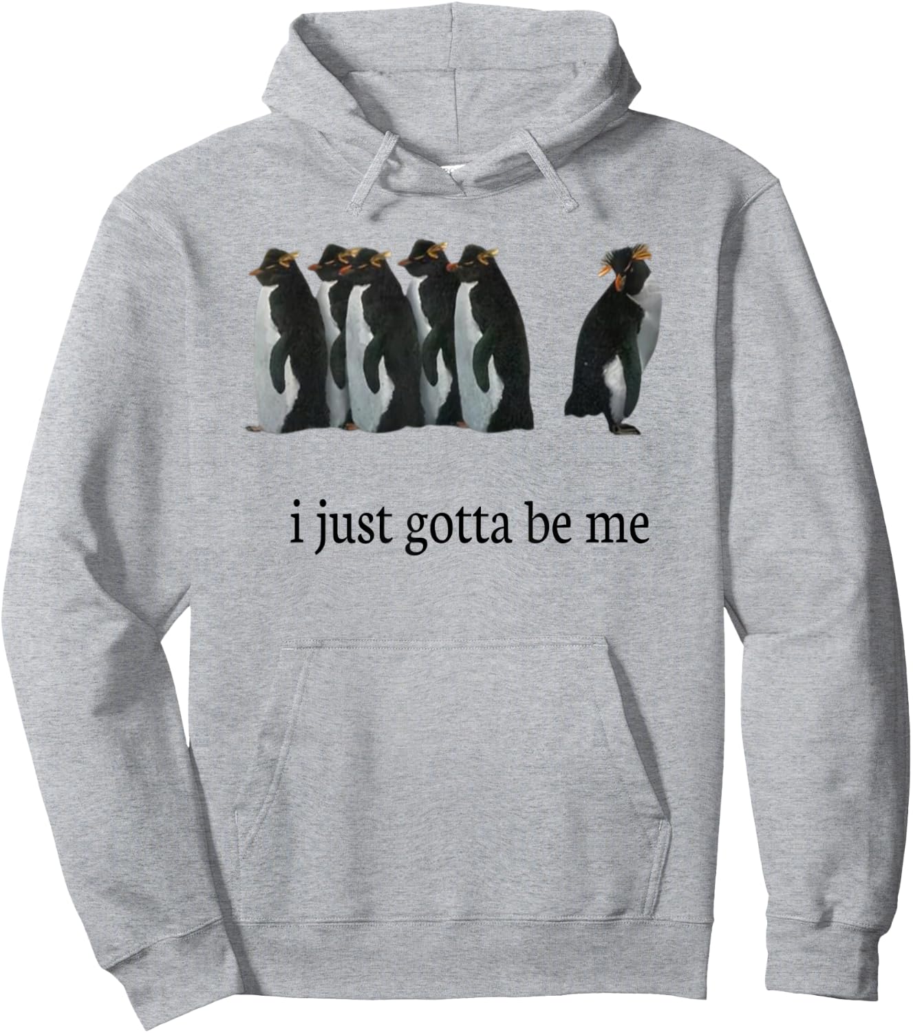 I Just Gotta Be Me Hoodie - Hoodie | Ash