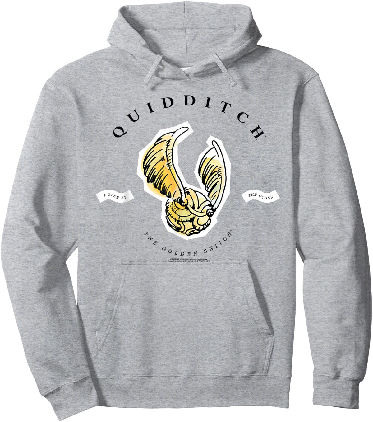 Harry Potter Golden Snitch I Open at the Close Hoodie - Hoodie | Ash