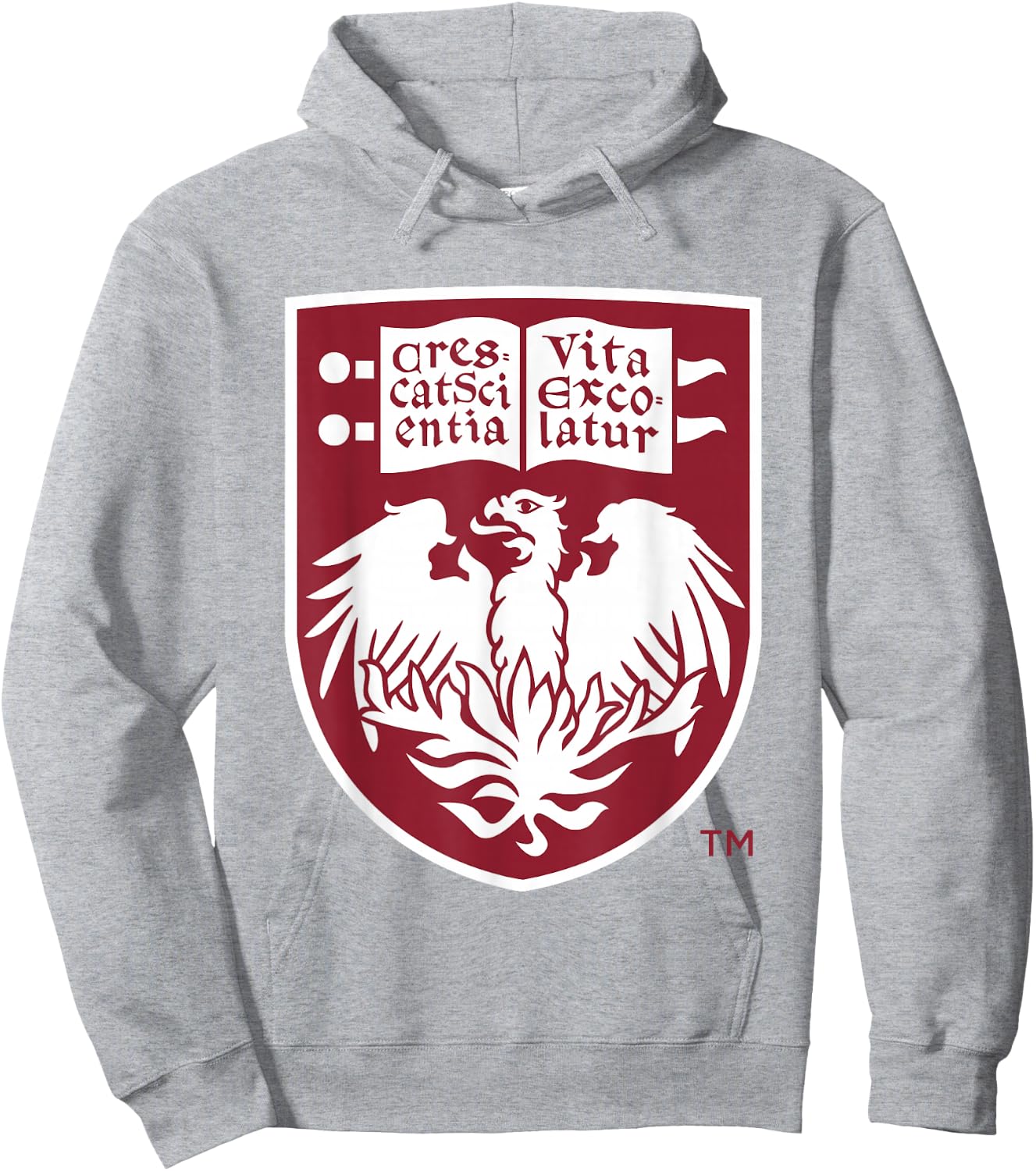 Chicago Maroons Icon Gray Officially Licensed Hoodie - Hoodie | Ash
