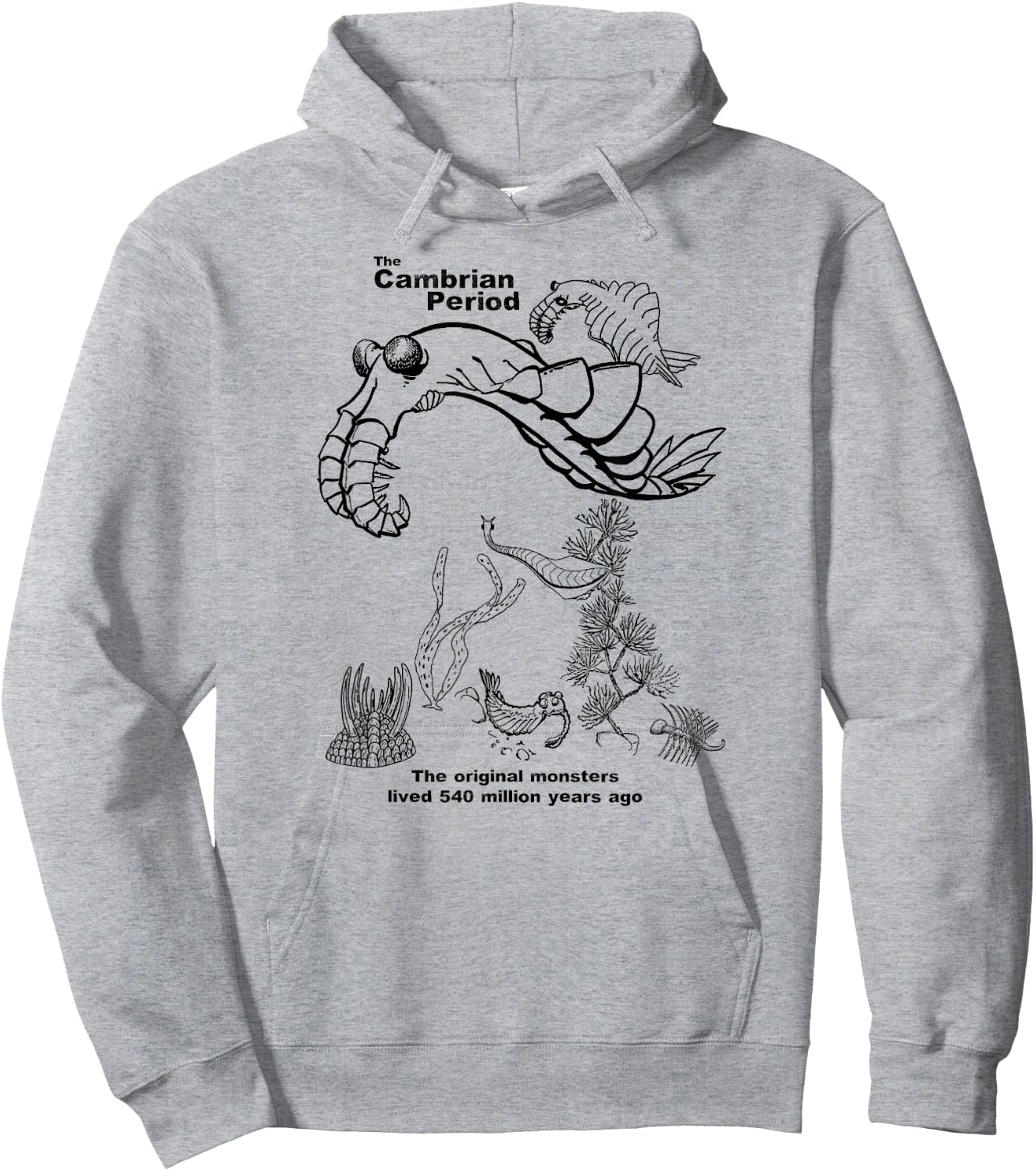 Cambrian Period Hoodie - Hoodie | Ash
