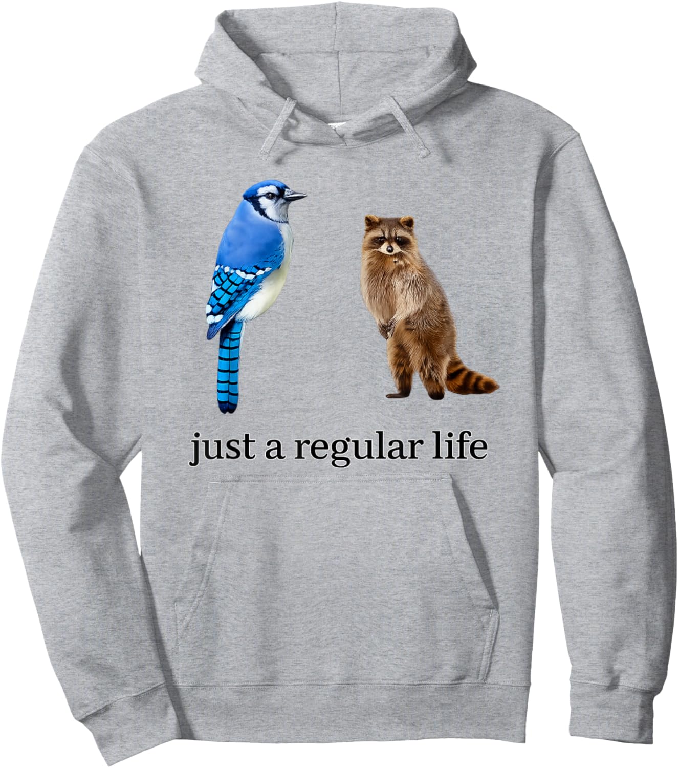 Just A Regular Life Blue Jay and Raccoon Hoodie - Hoodie | Ash