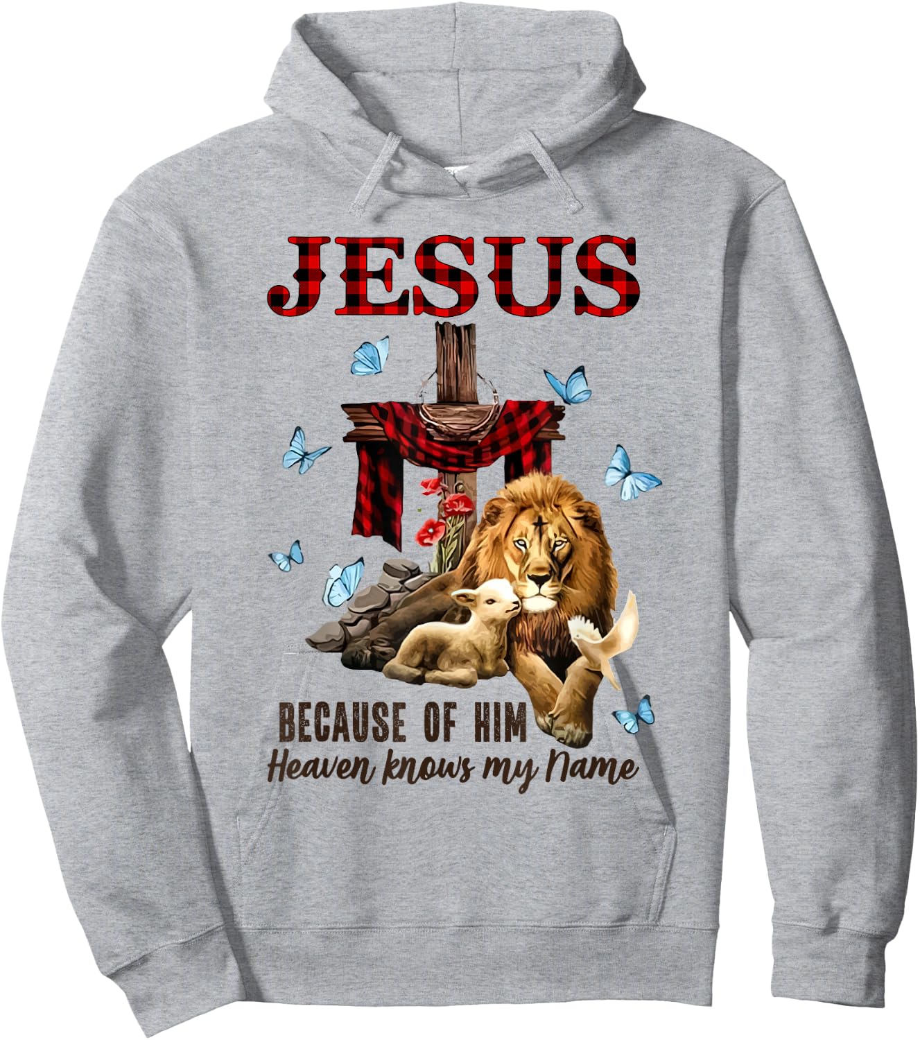 FAITH Jesus Lion Lamb Heaven Know My Name Hoodie - Hoodie | Ash