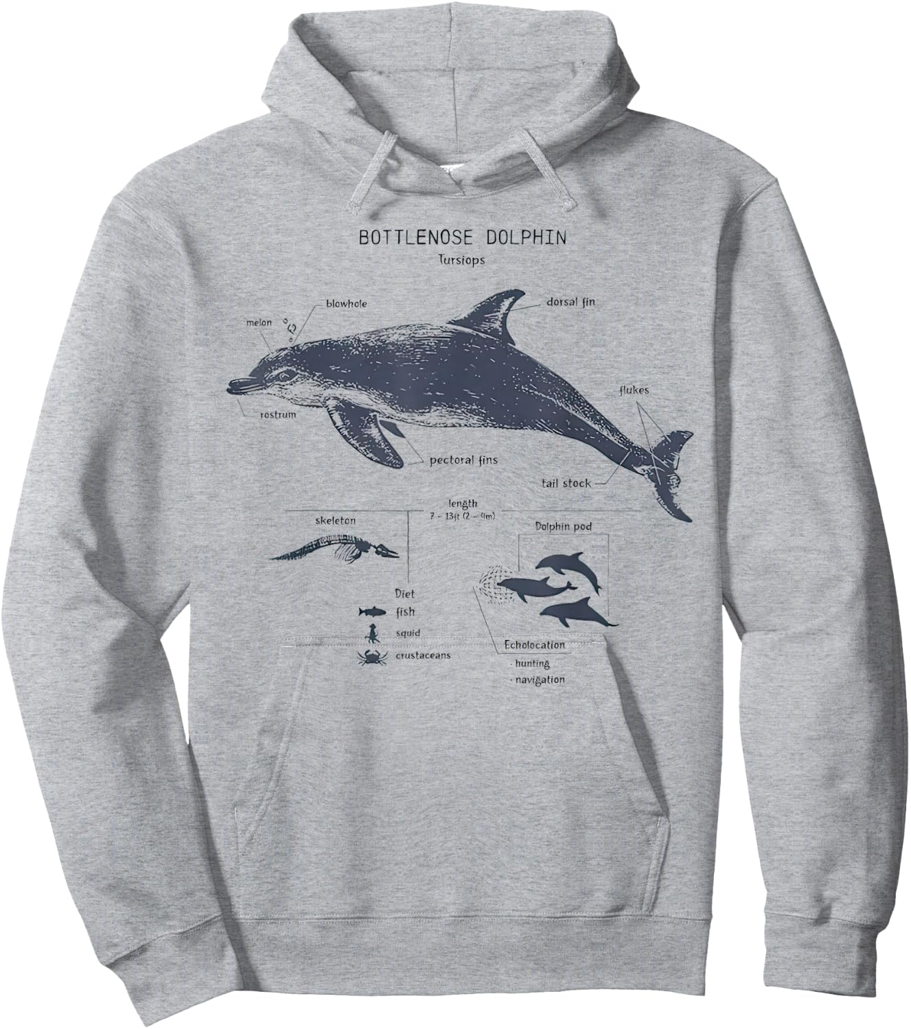 Bottlenose Dolphin Anatomy Marine Biology Hoodie - Hoodie | Ash