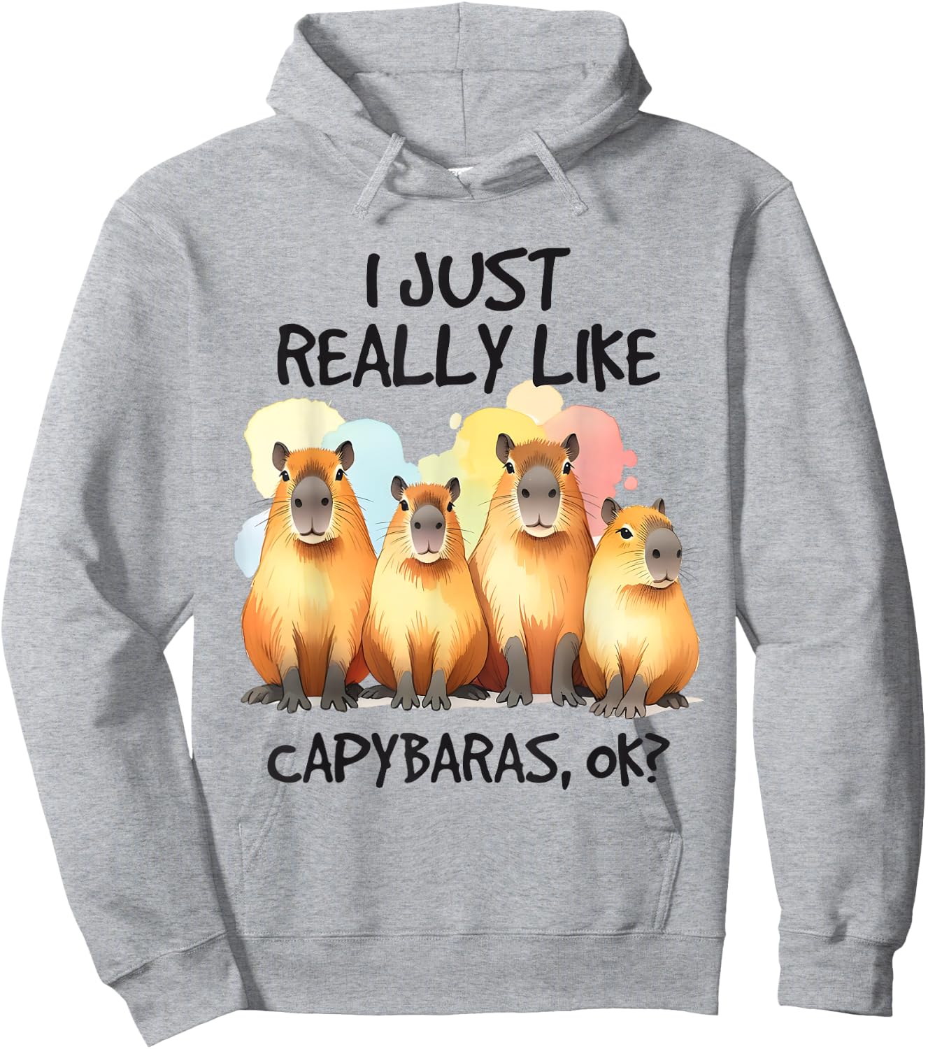 Funny Capybara Hoodie - Hoodie | Ash