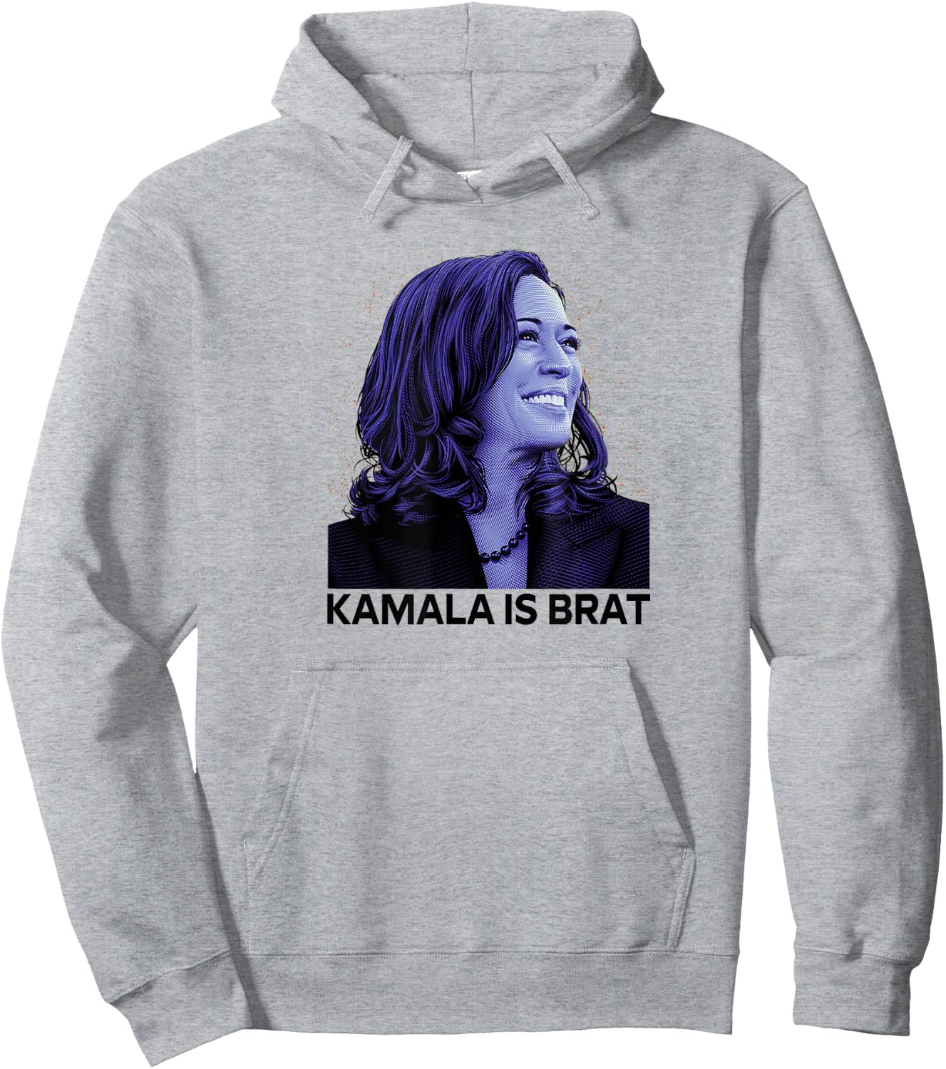 Kamala is Brat Funny Sarcastic Hoodie - Hoodie | Ash