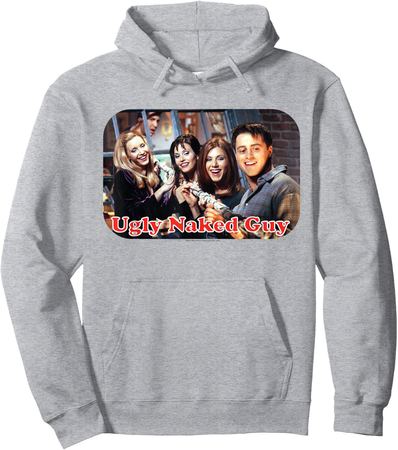 Friends Ugly Naked Guy Hoodie - Hoodie | Ash