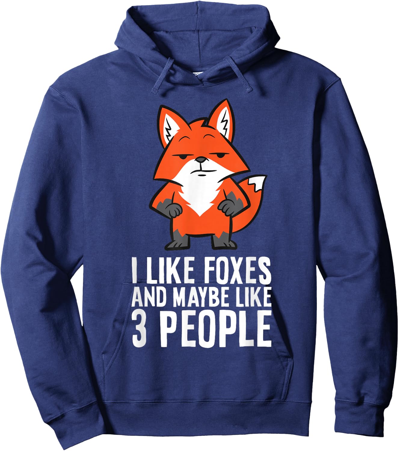 I Like Foxes And Maybe Like 3 People Fox Hoodie - Hoodie | Navy