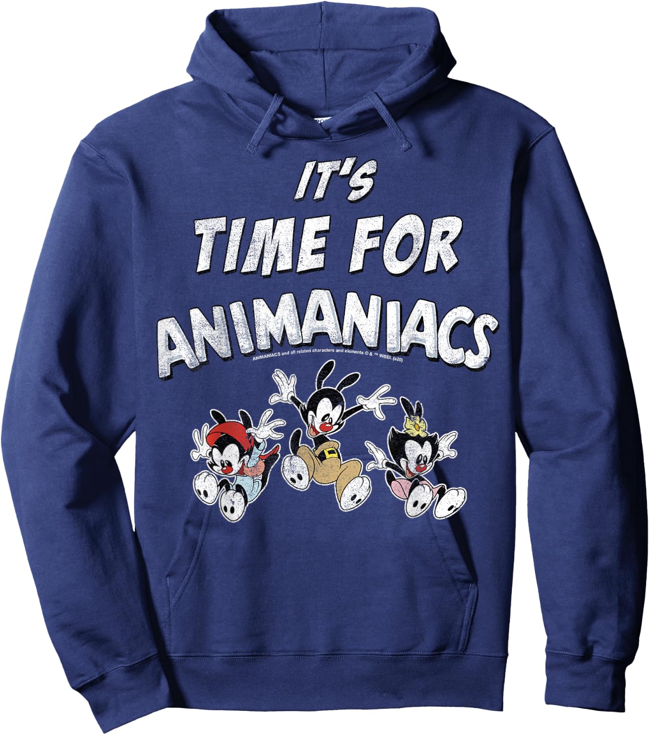 Animaniacs It's Time For Animaniacs Group Shot Hoodie - Hoodie | Navy
