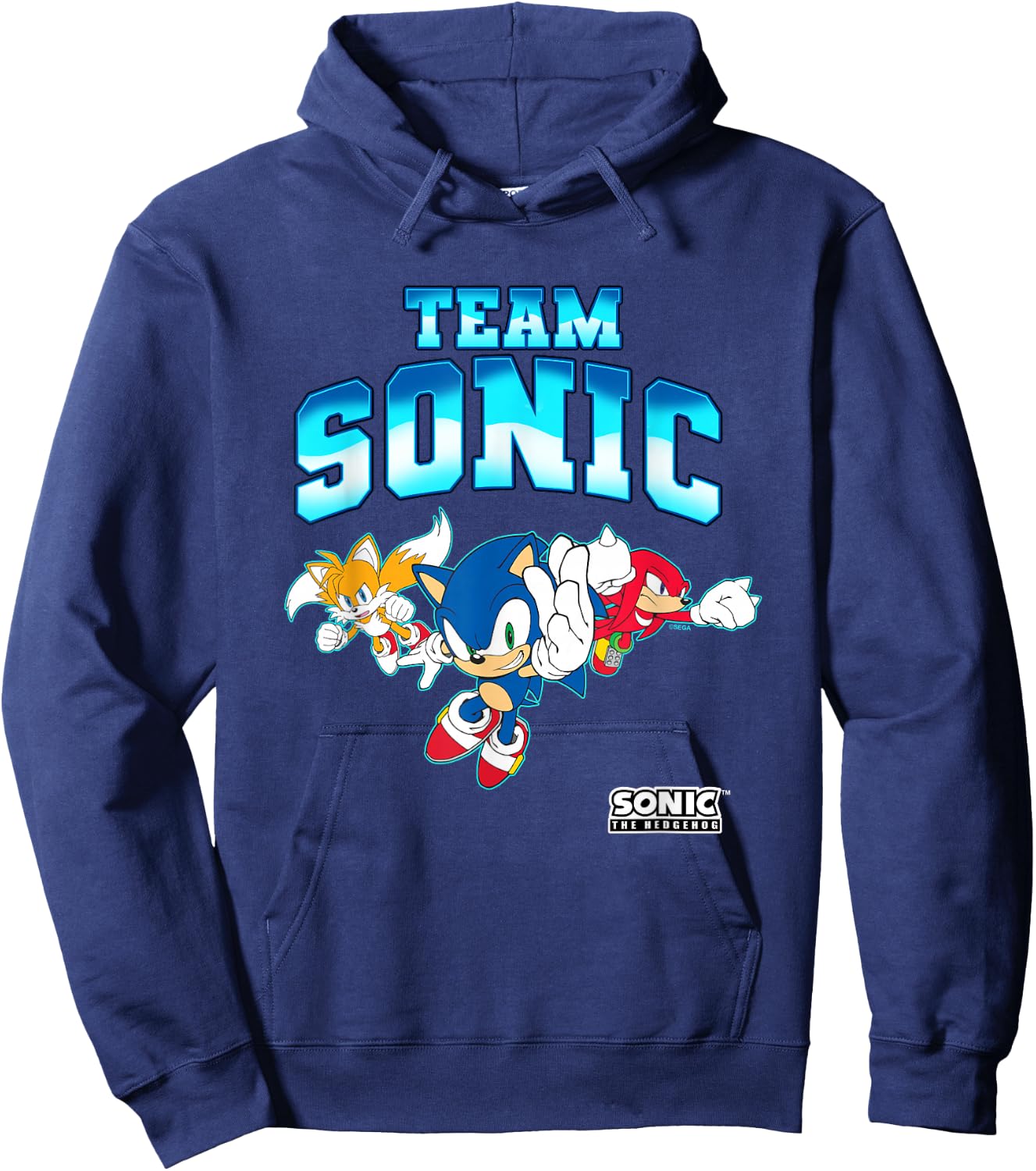 Sonic The Hedgehog Team Sonic Epic Group Shot Hoodie - Hoodie | Navy
