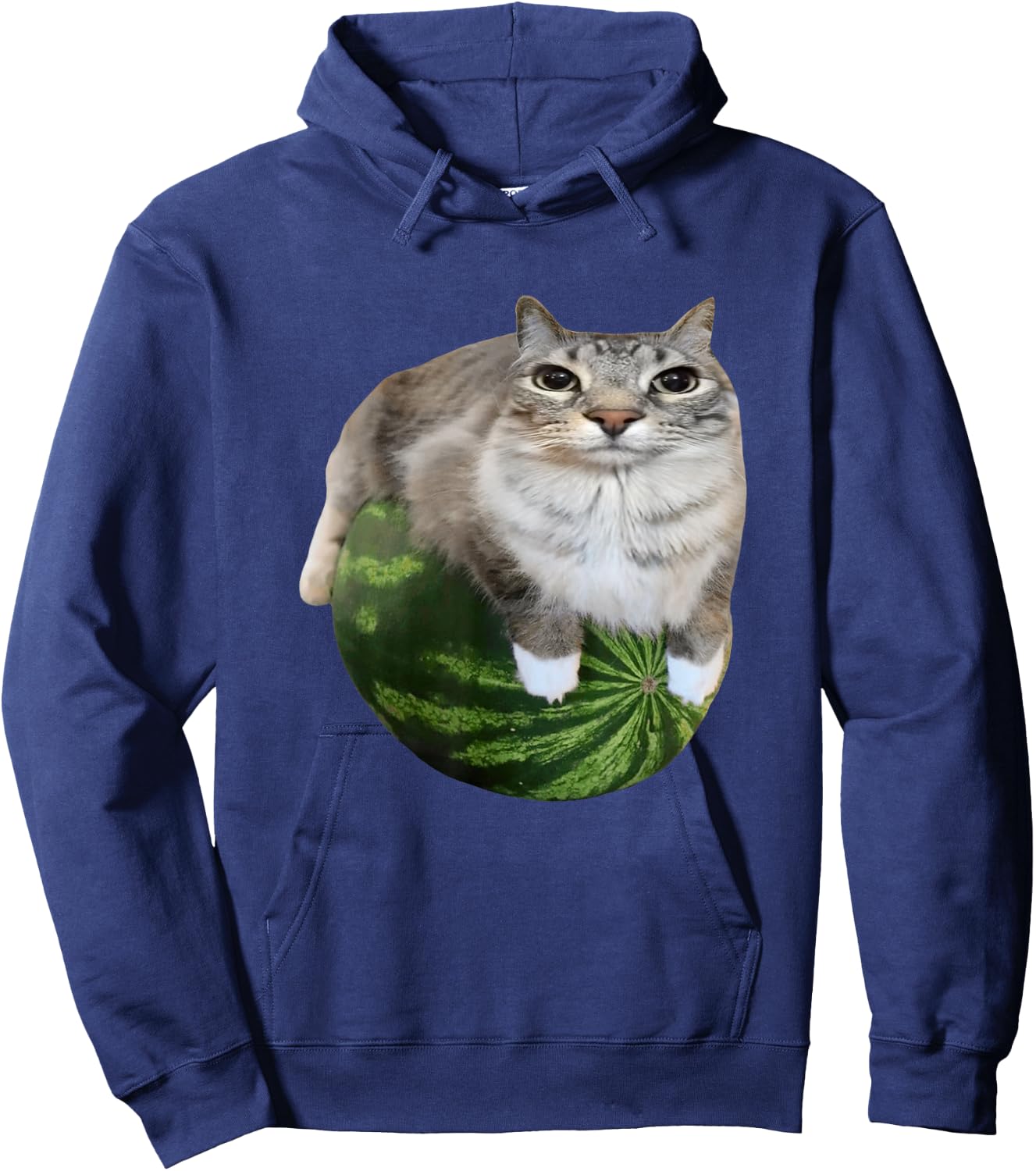 Watermelon Cat Silly Cat Meme Hoodie - Hoodie | Navy