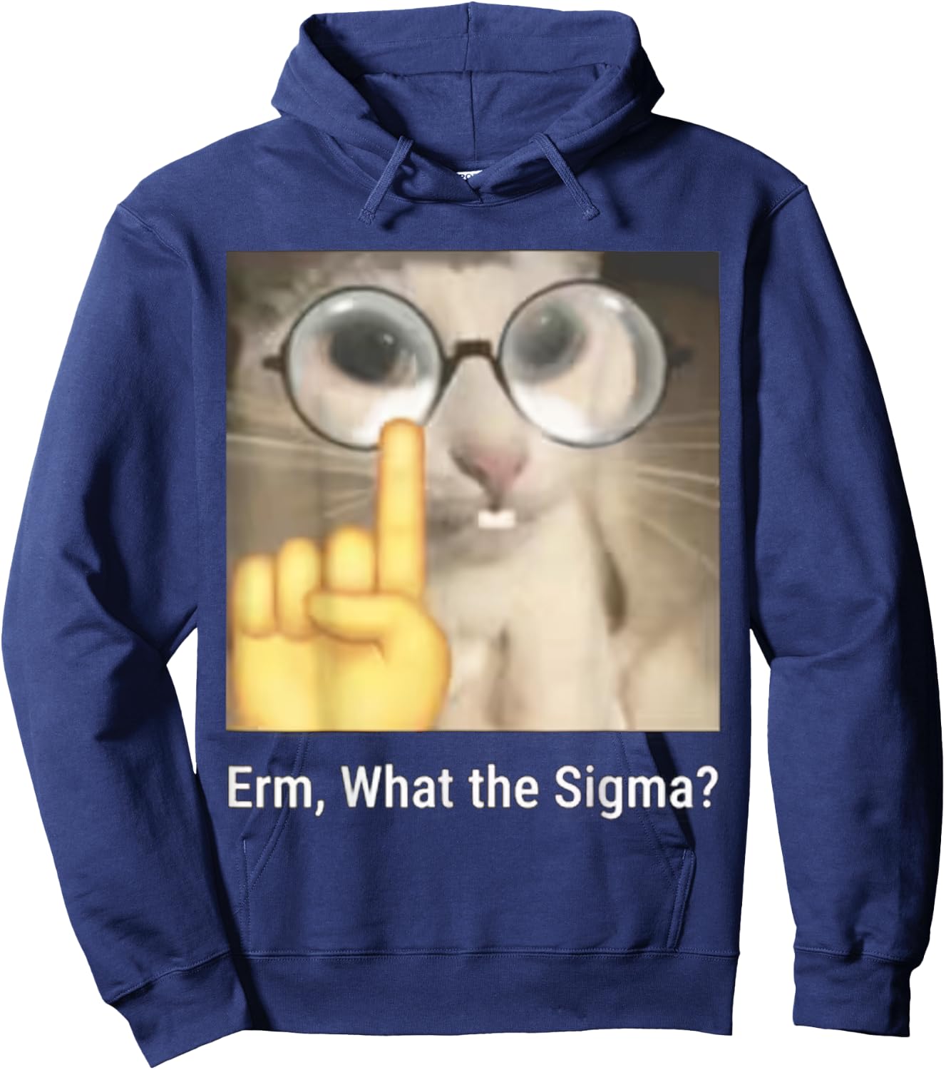 Erm, What the Sigma? Cat meme Hoodie - Hoodie | Navy