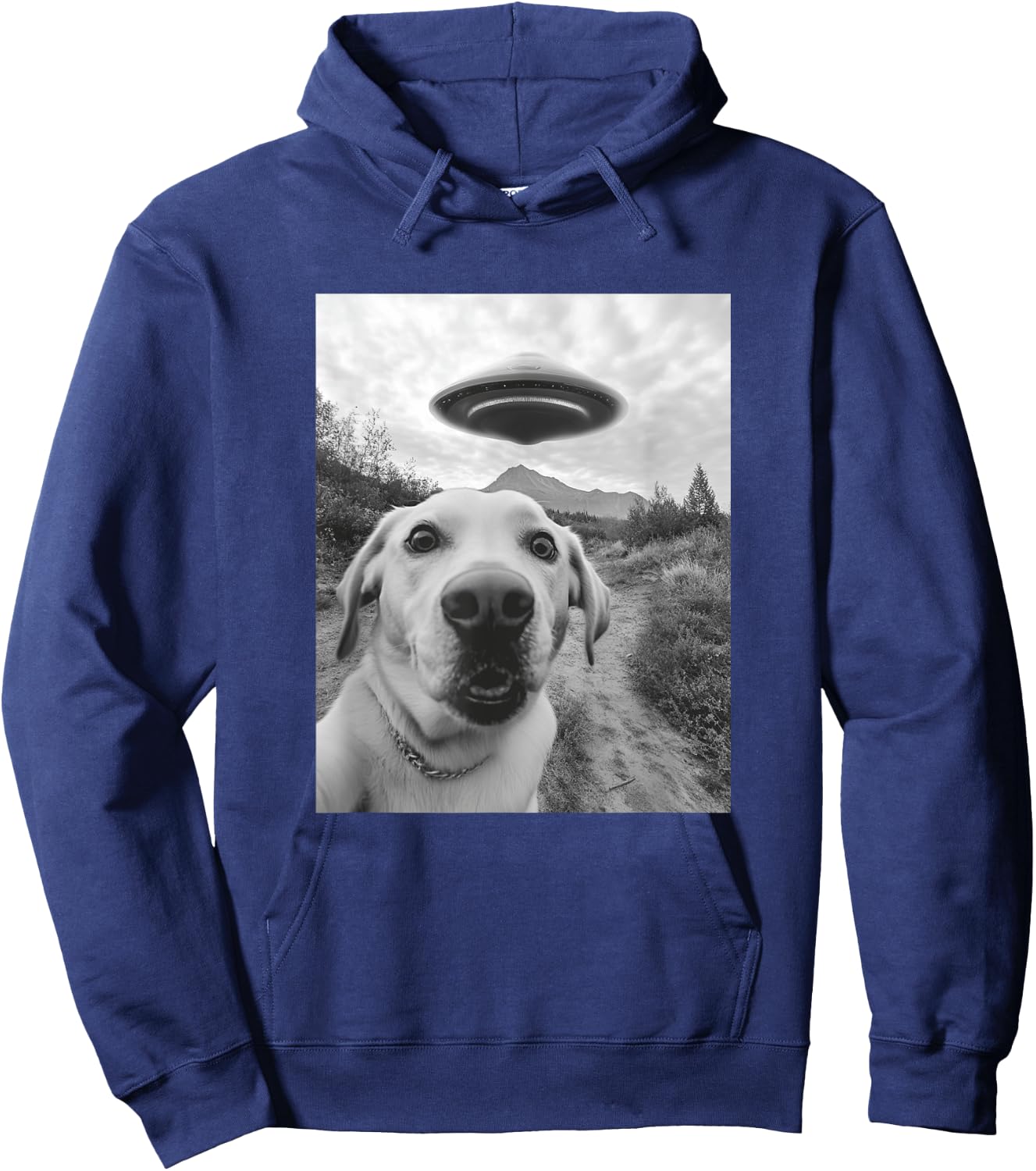 Funny Labrador Selfie with UFO Hoodie - Hoodie | Navy