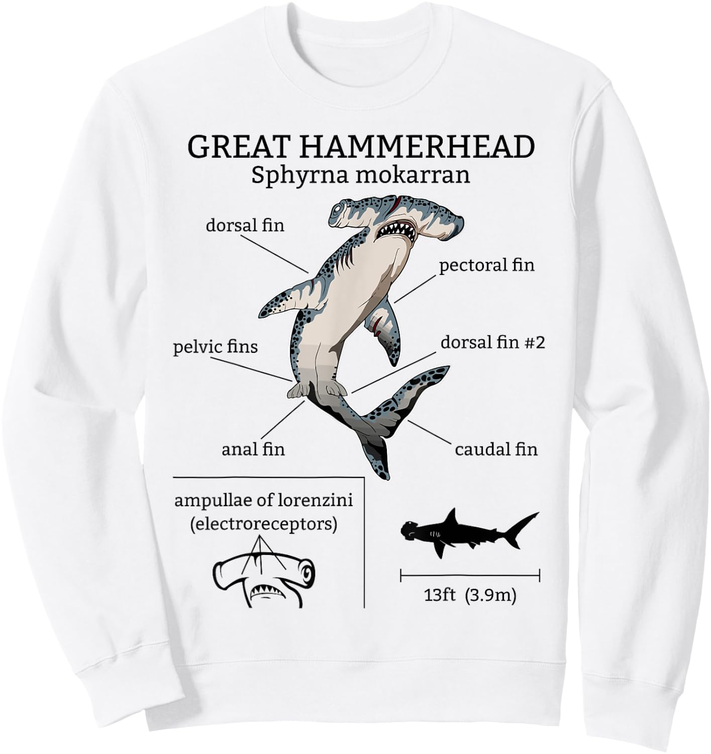 Great Hammerhead Shark Anatomy Ocean Animal Marine Biologist Sweatshirt - Sweatshirt | White