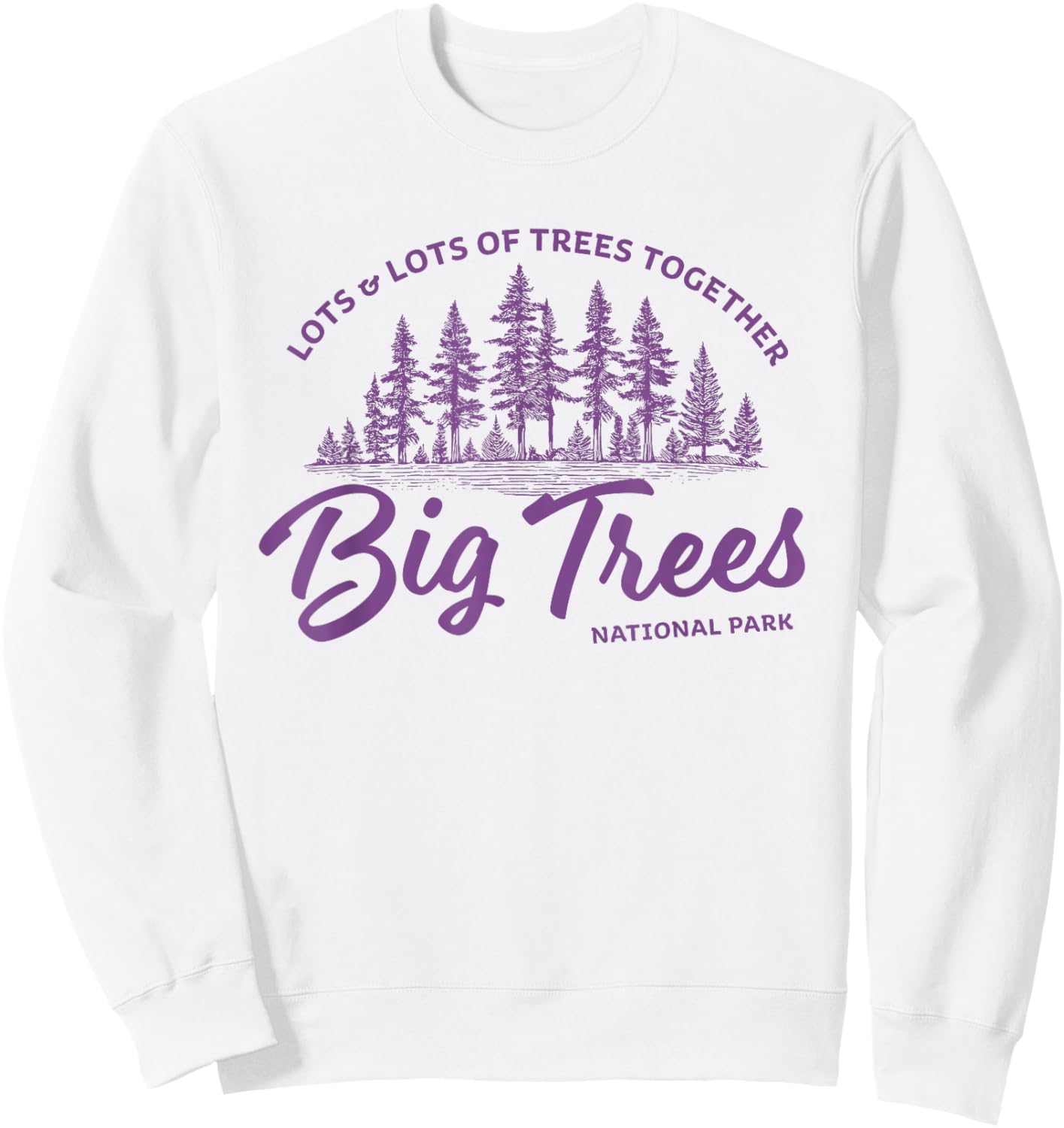 Big Trees Park - Hanson Band Fan Concert Tour Wear Sweatshirt - Sweatshirt | White