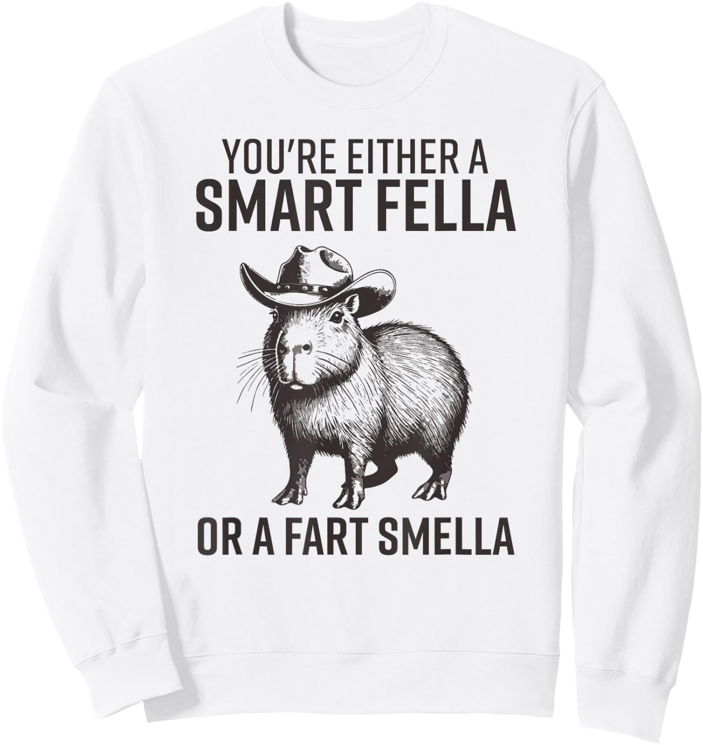 You're Either A Smart Fella Or A Fart Smella Funny Capybara Sweatshirt - Sweatshirt | White