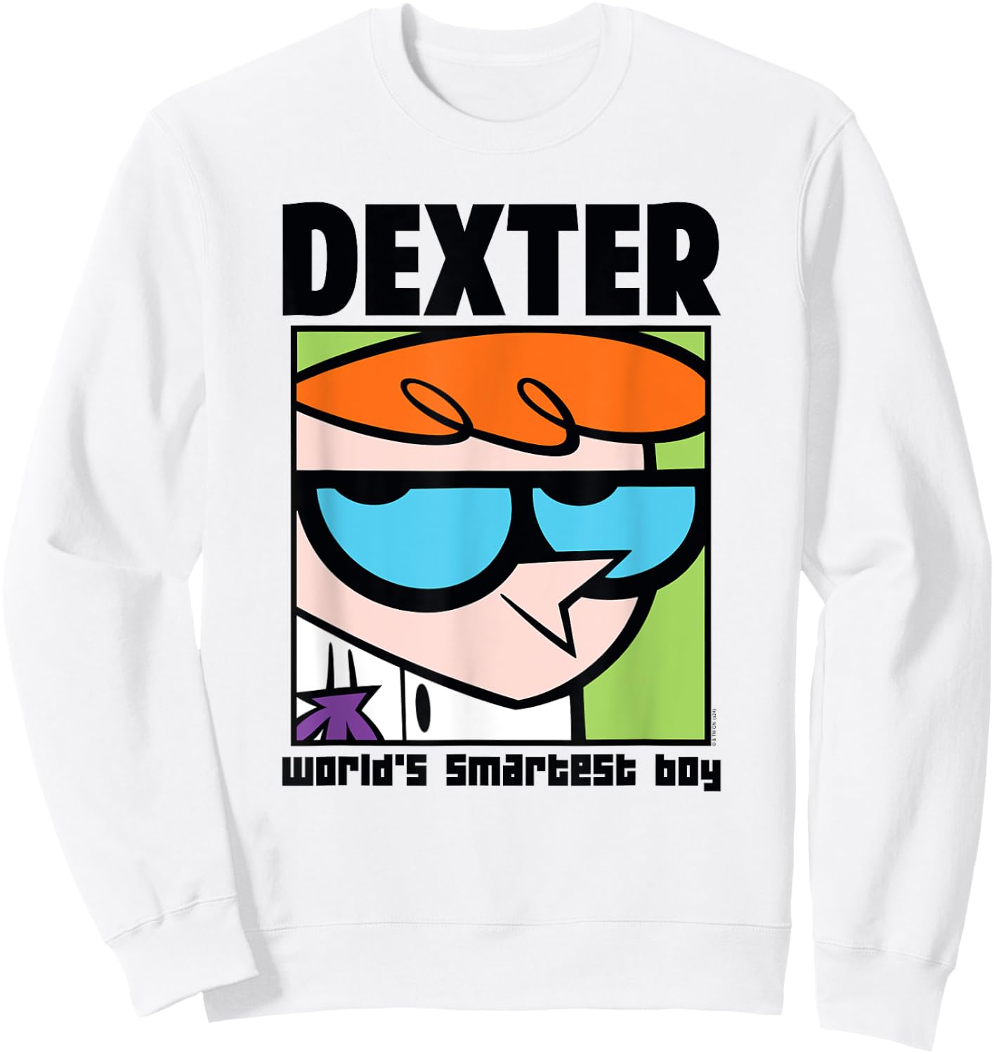 Dexter's Laboratory World's Smartest Boy Cartoon Sweatshirt - Sweatshirt | White
