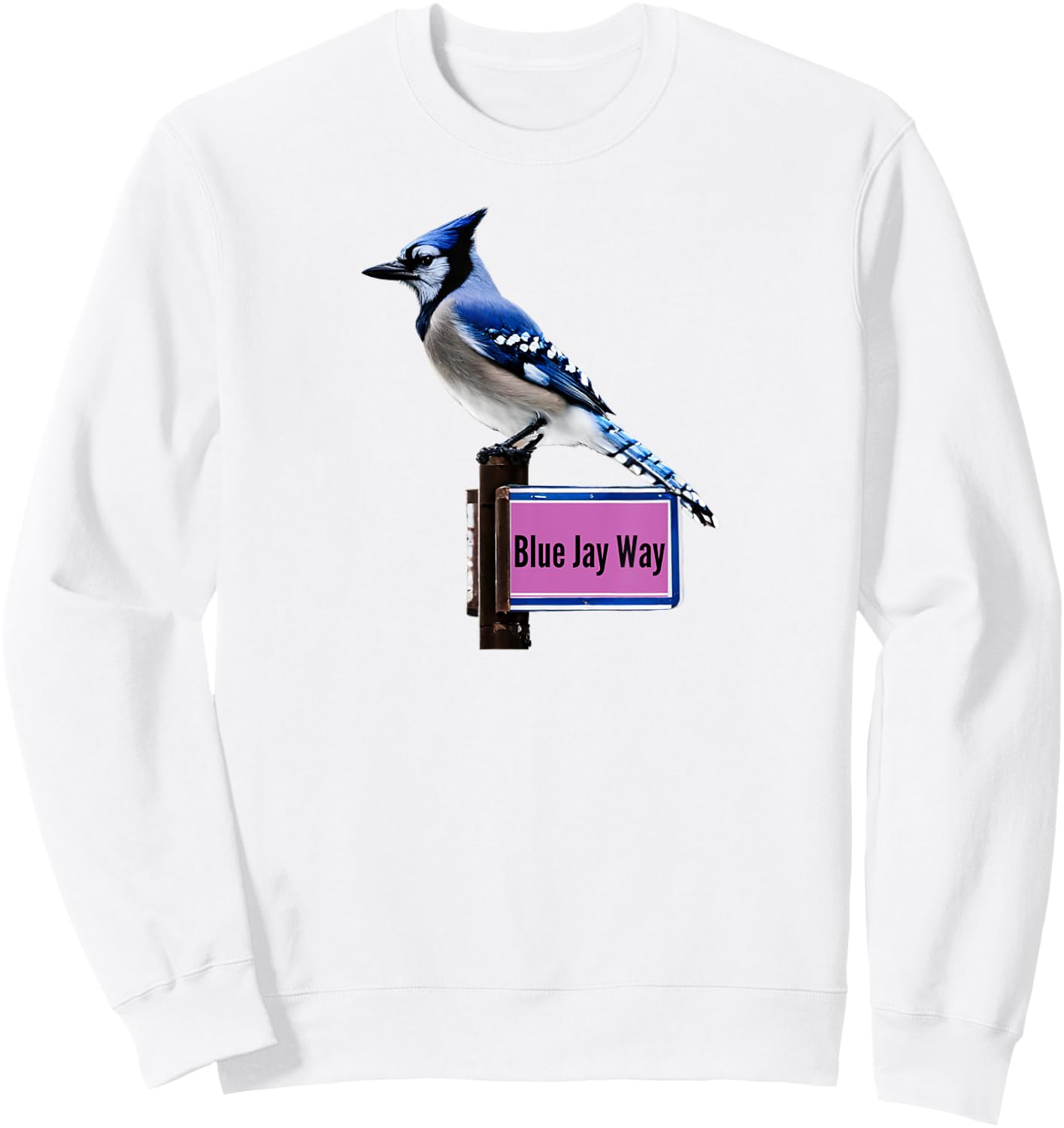 Blue Jay Way Sweatshirt - Sweatshirt | White