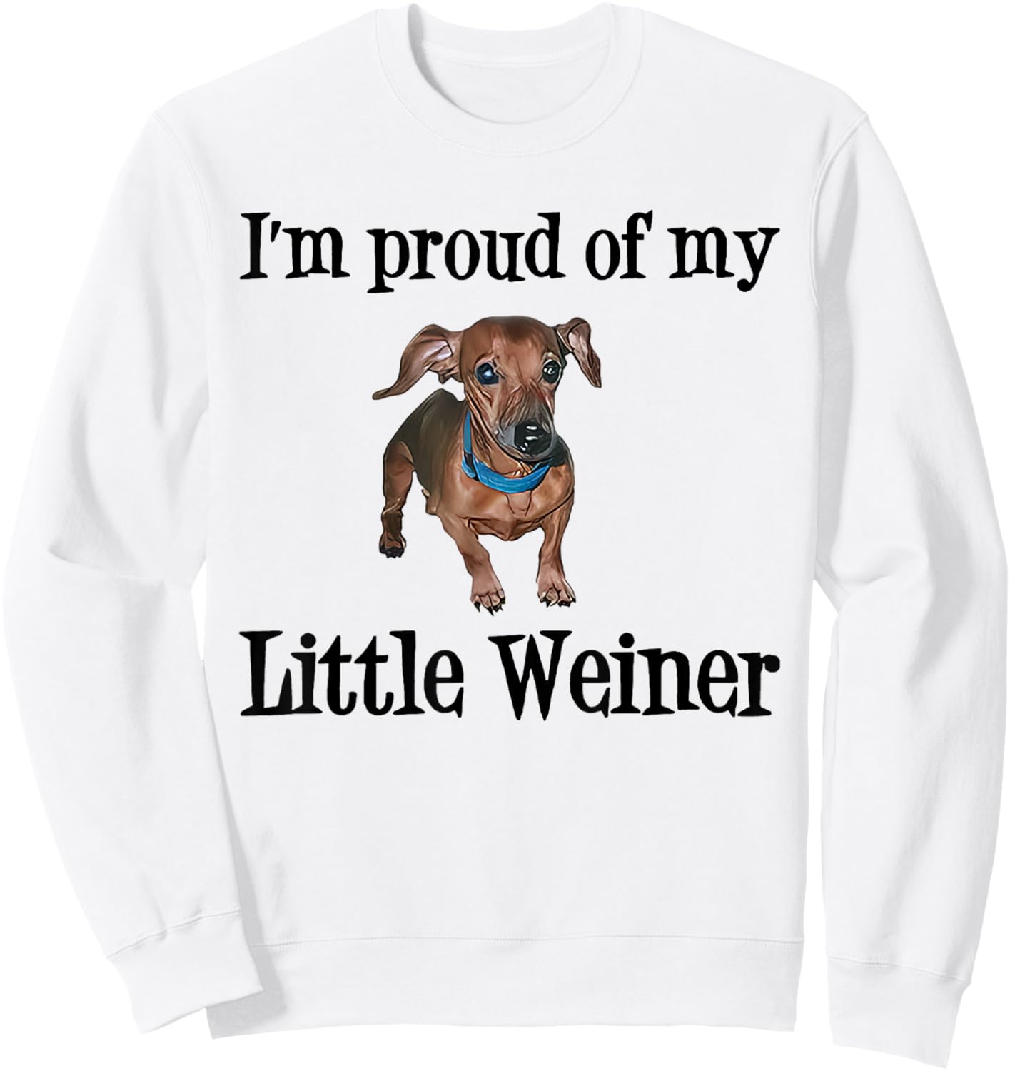 I'm Proud Of My Little Weiner Funny Dog Lover Animal Lover Women Sweatshirt - Sweatshirt | White