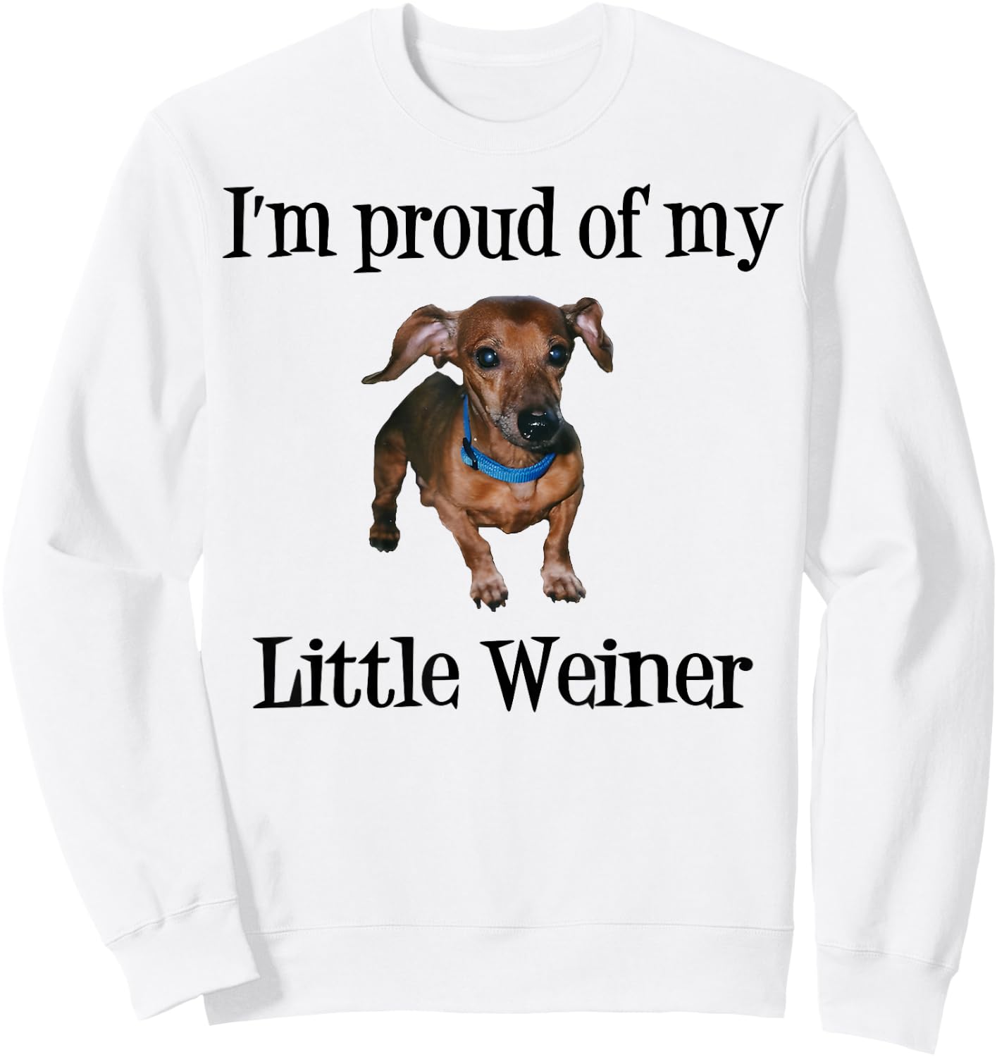 I'm Proud of My Little Weiner Funny Dog Lover Animal Lover Sweatshirt - Sweatshirt | White