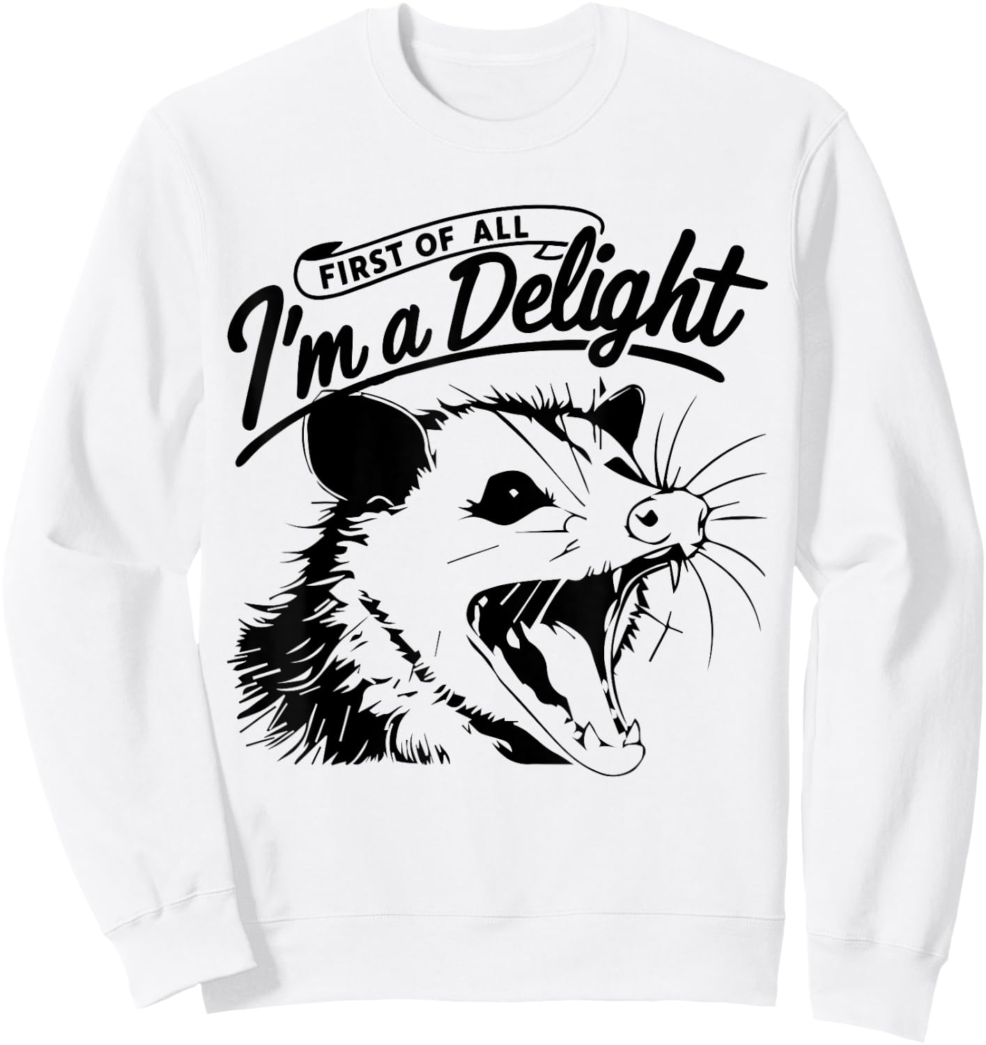 First of All, I'm a Delight Funny Opossum Possum Sweatshirt - Sweatshirt | White