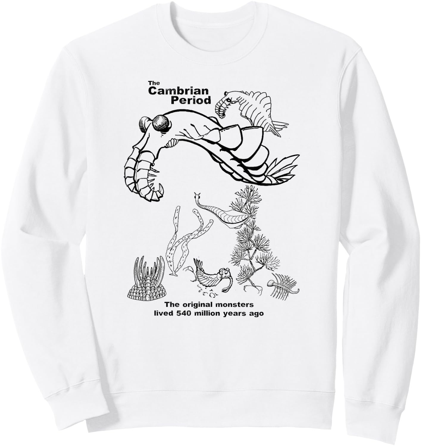 Cambrian Period Sweatshirt - Sweatshirt | White