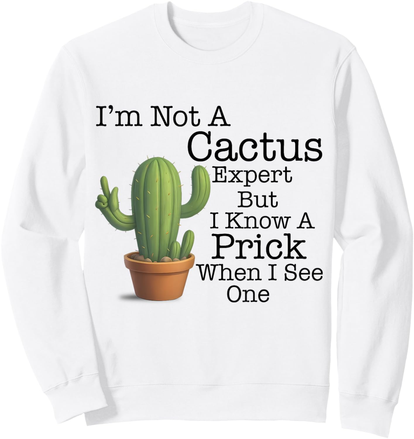 I'm Not A Cactus Expert But I Know A Prick When I See Cactus Sweatshirt - Sweatshirt | White
