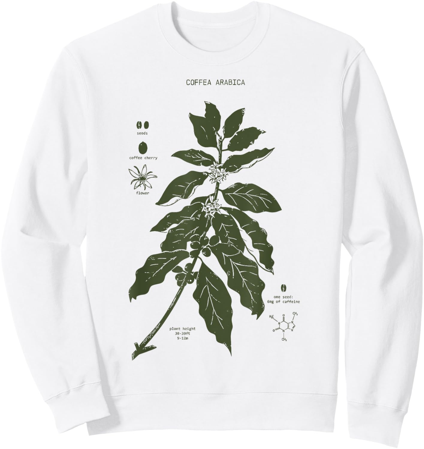 Vintage Coffee Plant Diagram Coffee Arabica Botanical Sweatshirt - Sweatshirt | White