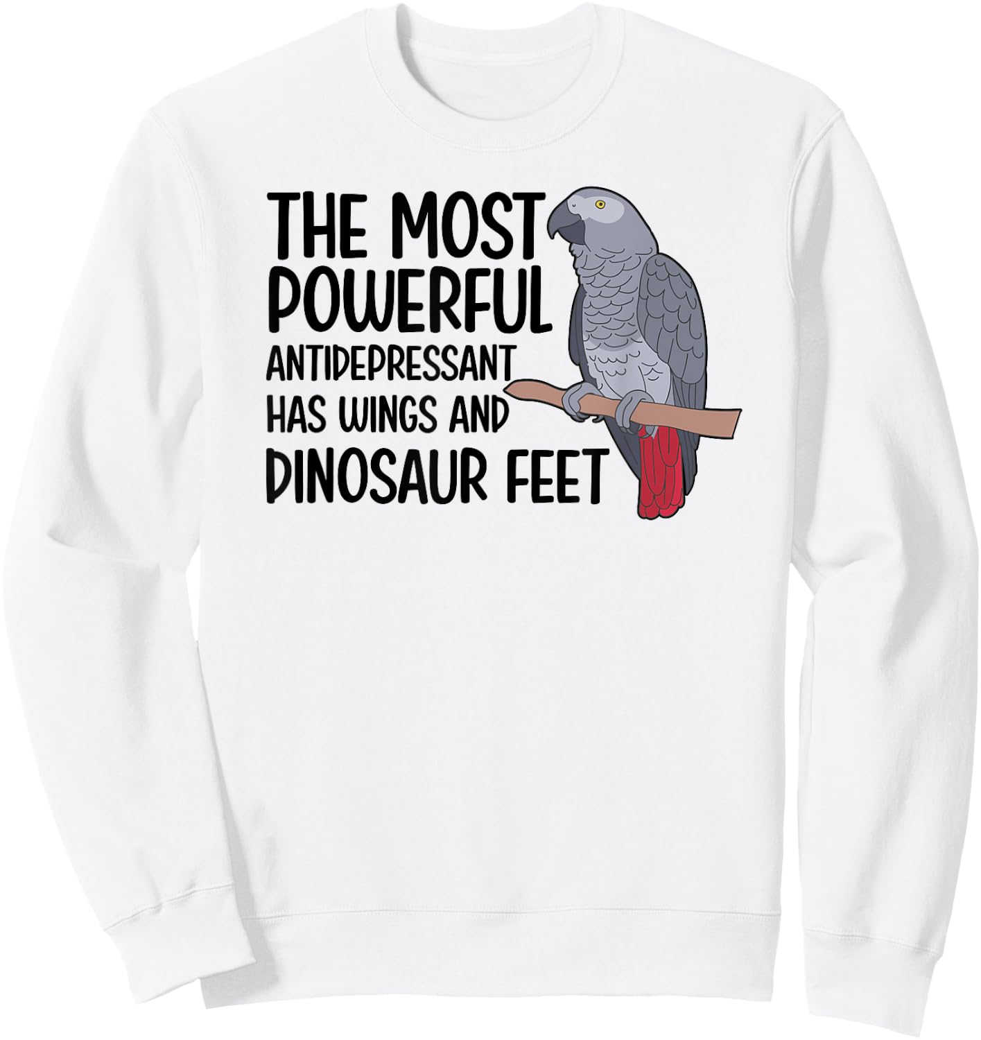 Dinousar Feet African Grey Owner African Grey Parrot Lover Sweatshirt - Sweatshirt | White