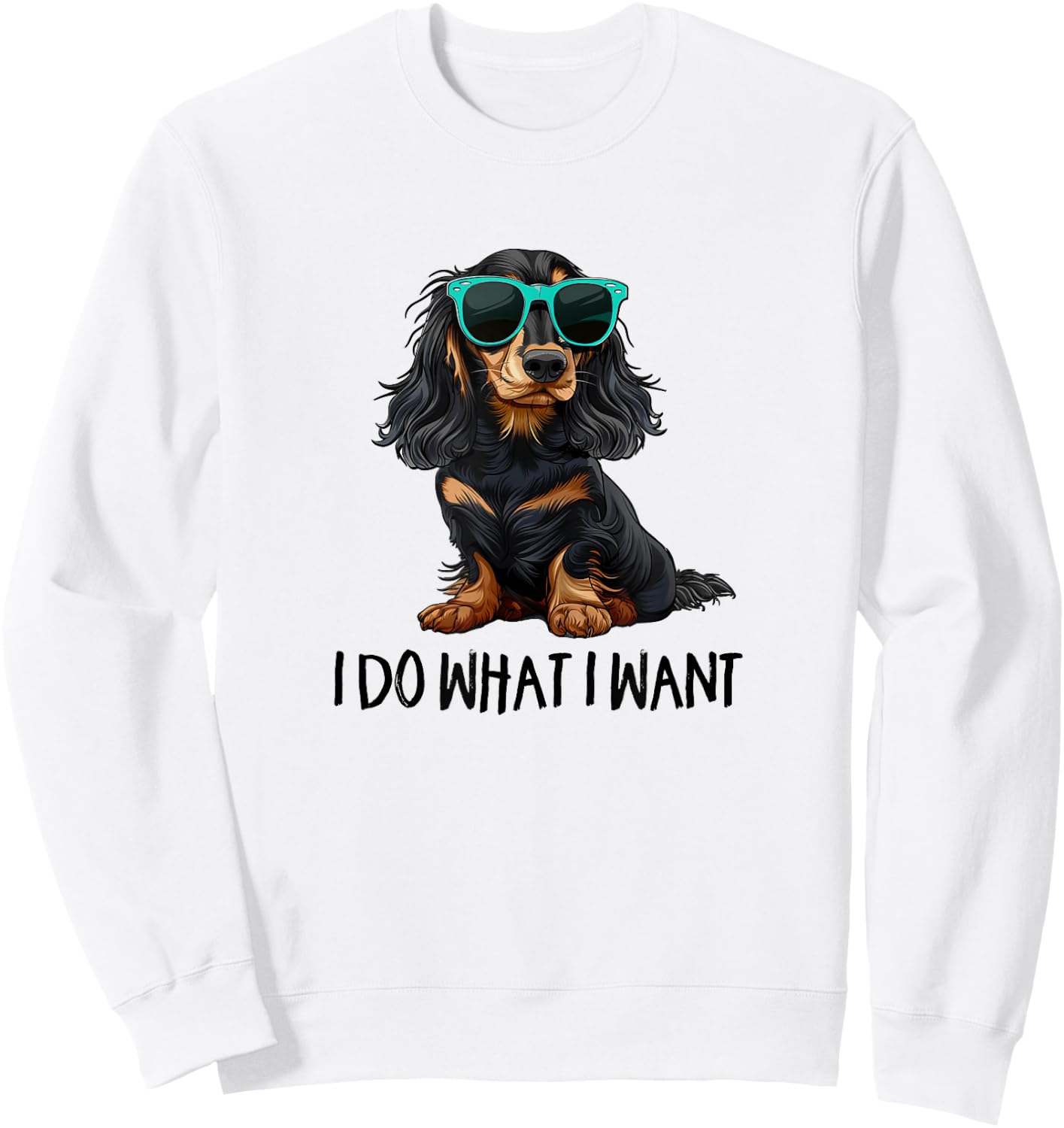 Funny Do What I Want Black Long Haired Dachshund Lover Sweatshirt - Sweatshirt | White
