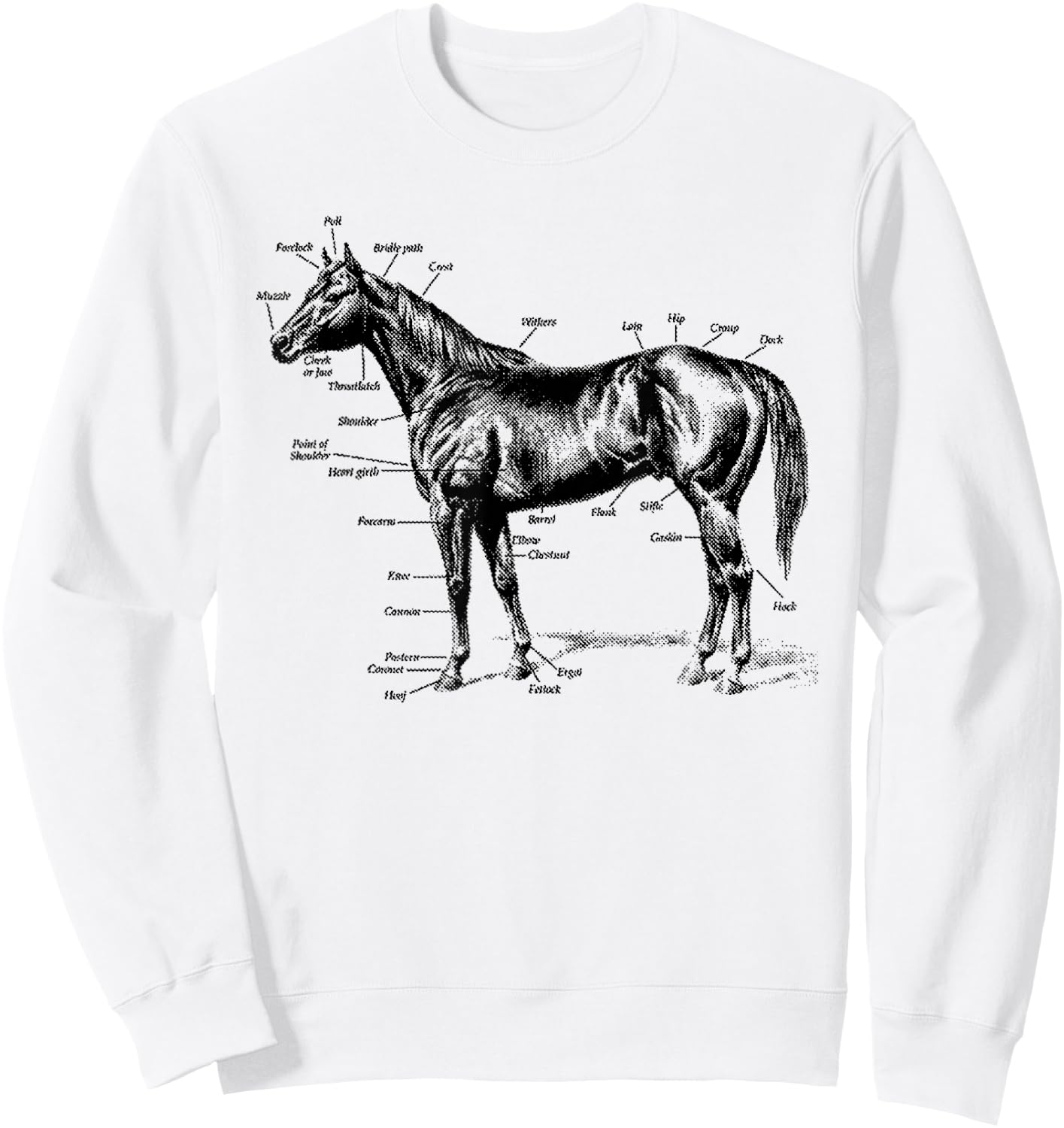 Big Texas Anatomy of a Horse Sweatshirt - Sweatshirt | White