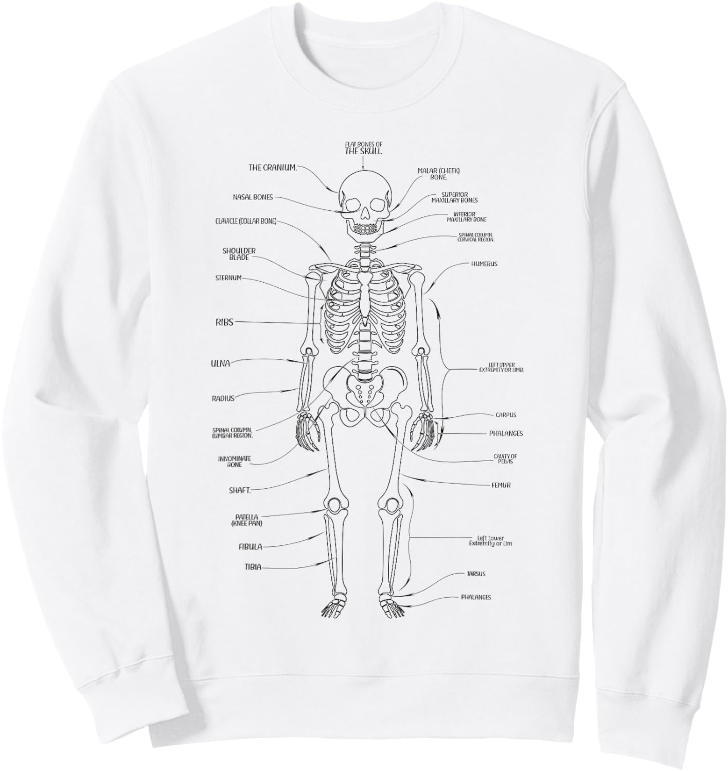 Human body anatomy science teachers students Sweatshirt - Sweatshirt | White