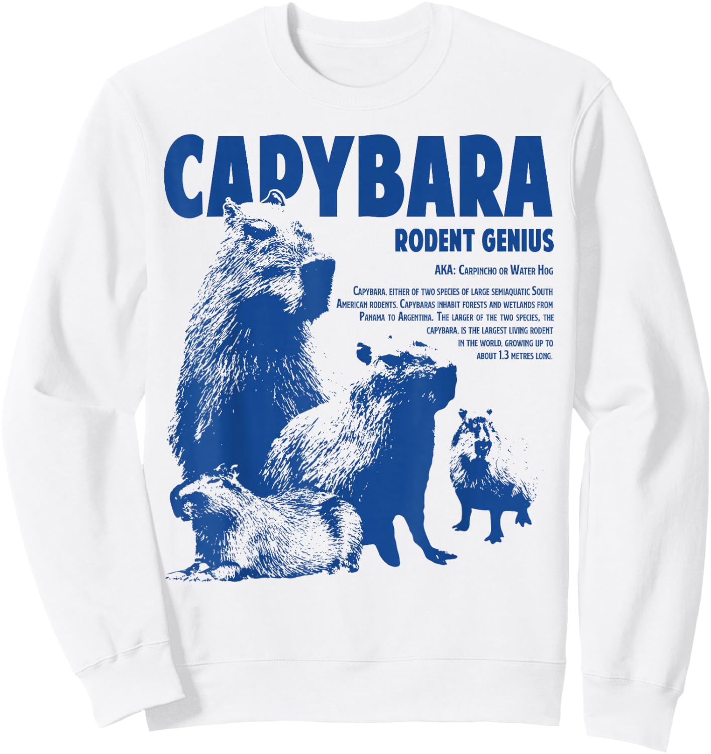 Capybara Rodent Genius Funny Information For Capybara Lover Sweatshirt - Sweatshirt | White