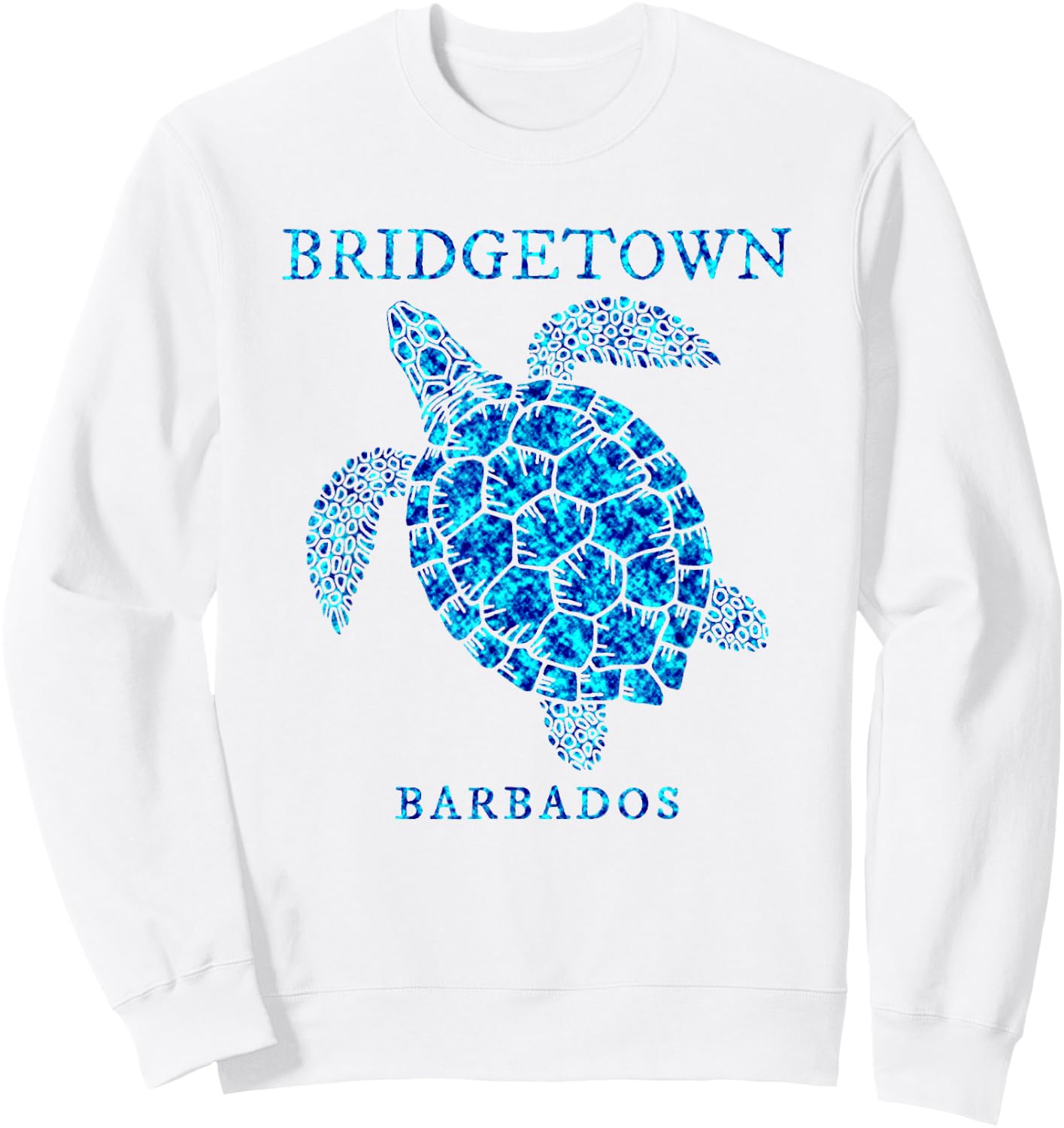 Bridgetown Barbados Sea Turtle Boys Girls Toddler Souvenir Sweatshirt - Sweatshirt | White