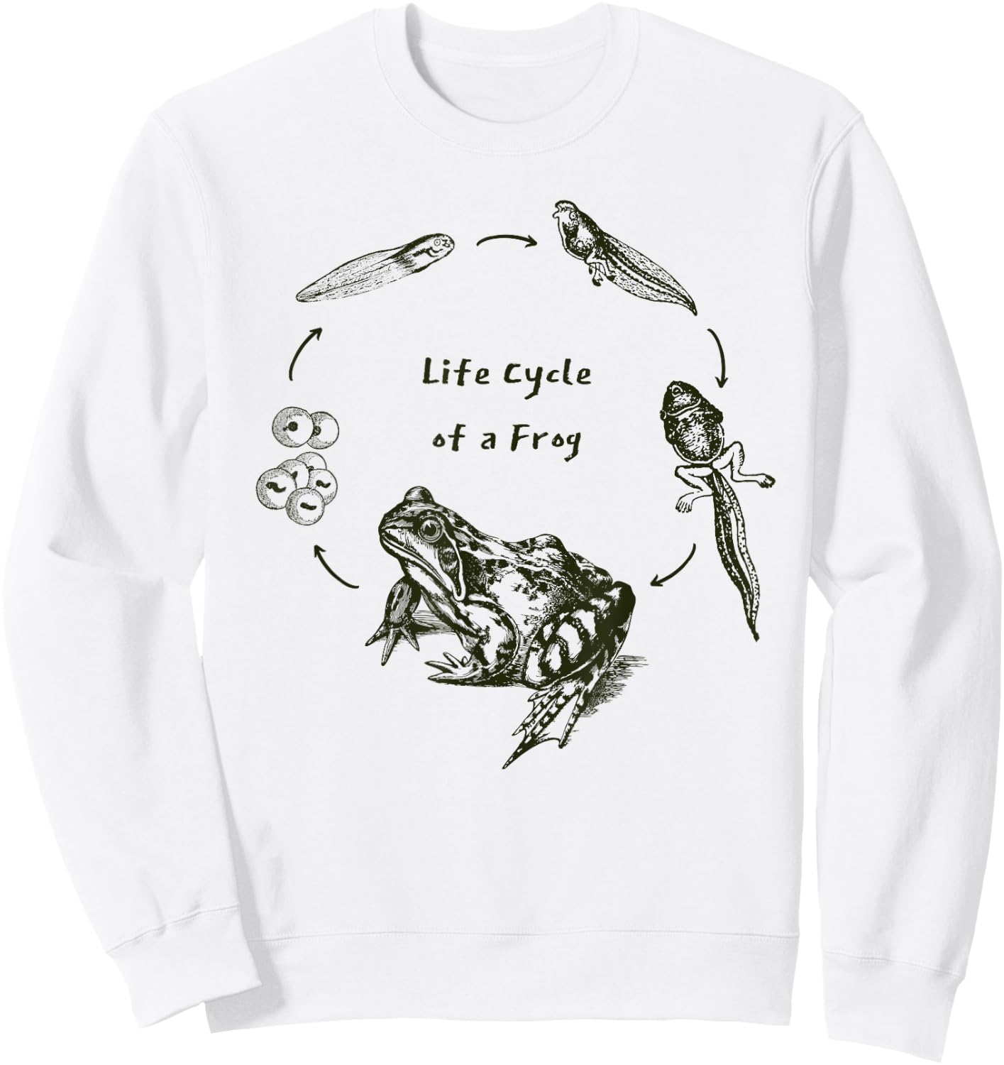 Frog Toad Life Cycle Biology Teacher Vintage Science Sweatshirt - Sweatshirt | White