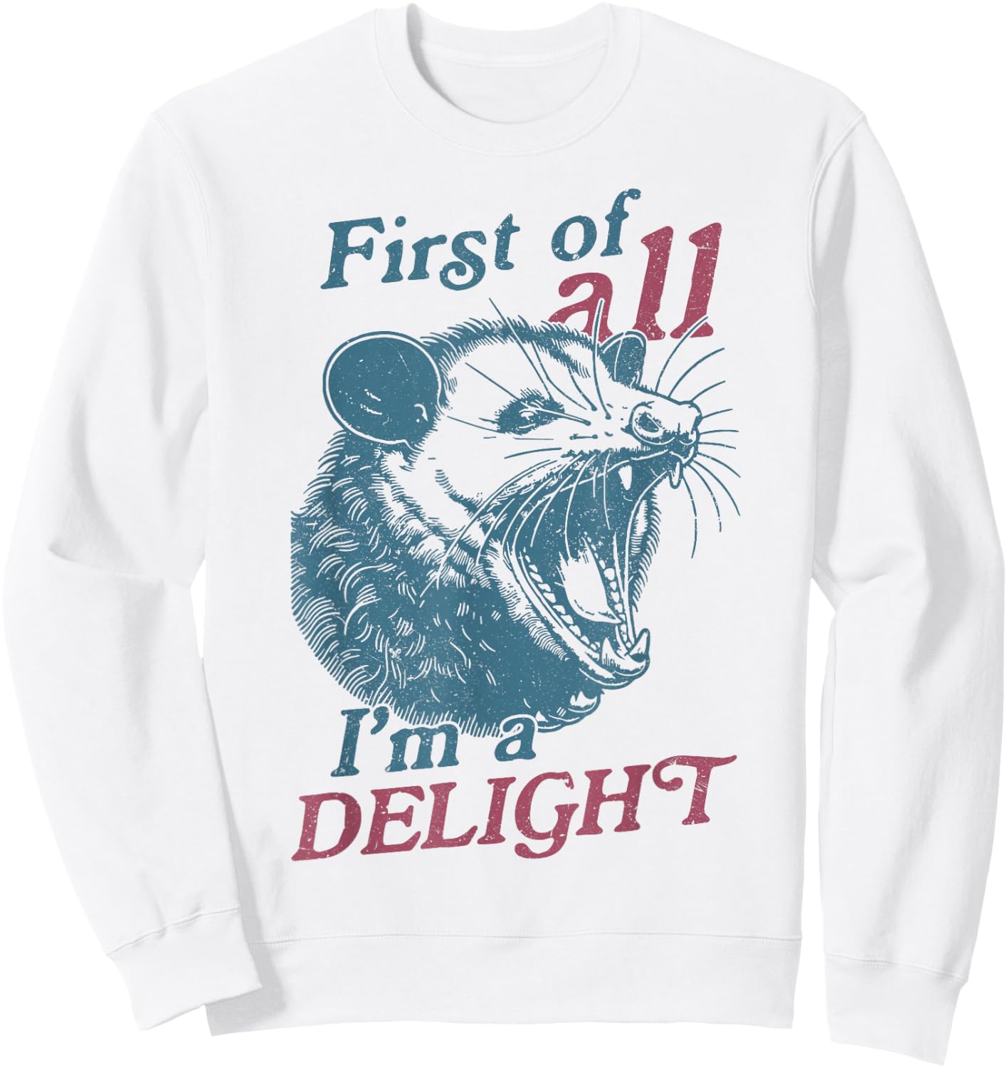 First Of All I'm A Delight Sarcastic Angry Opossum Lover Sweatshirt - Sweatshirt | White