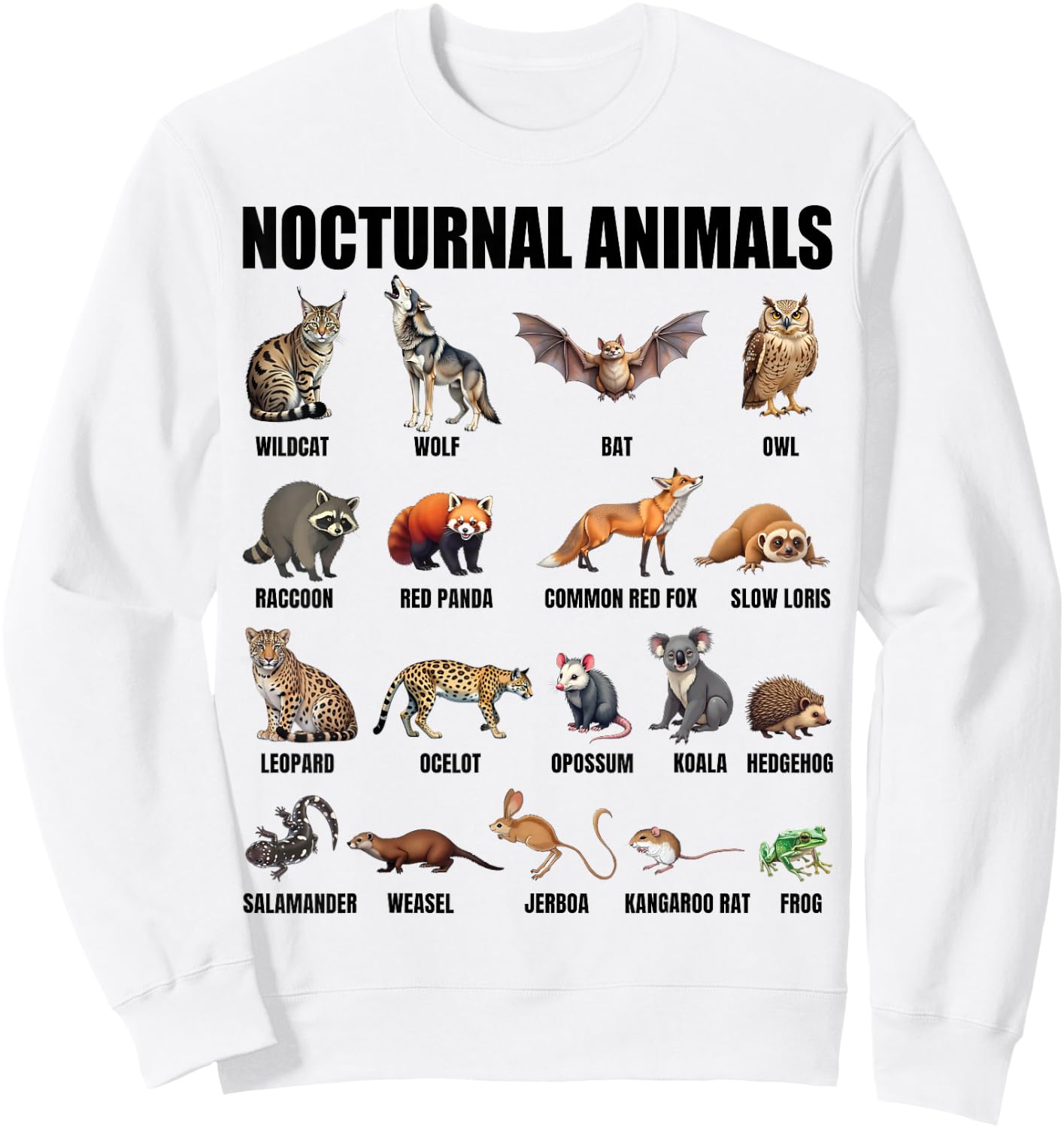 Nocturnal Animals Educational Wildlife Science Nature Lover Sweatshirt - Sweatshirt | White