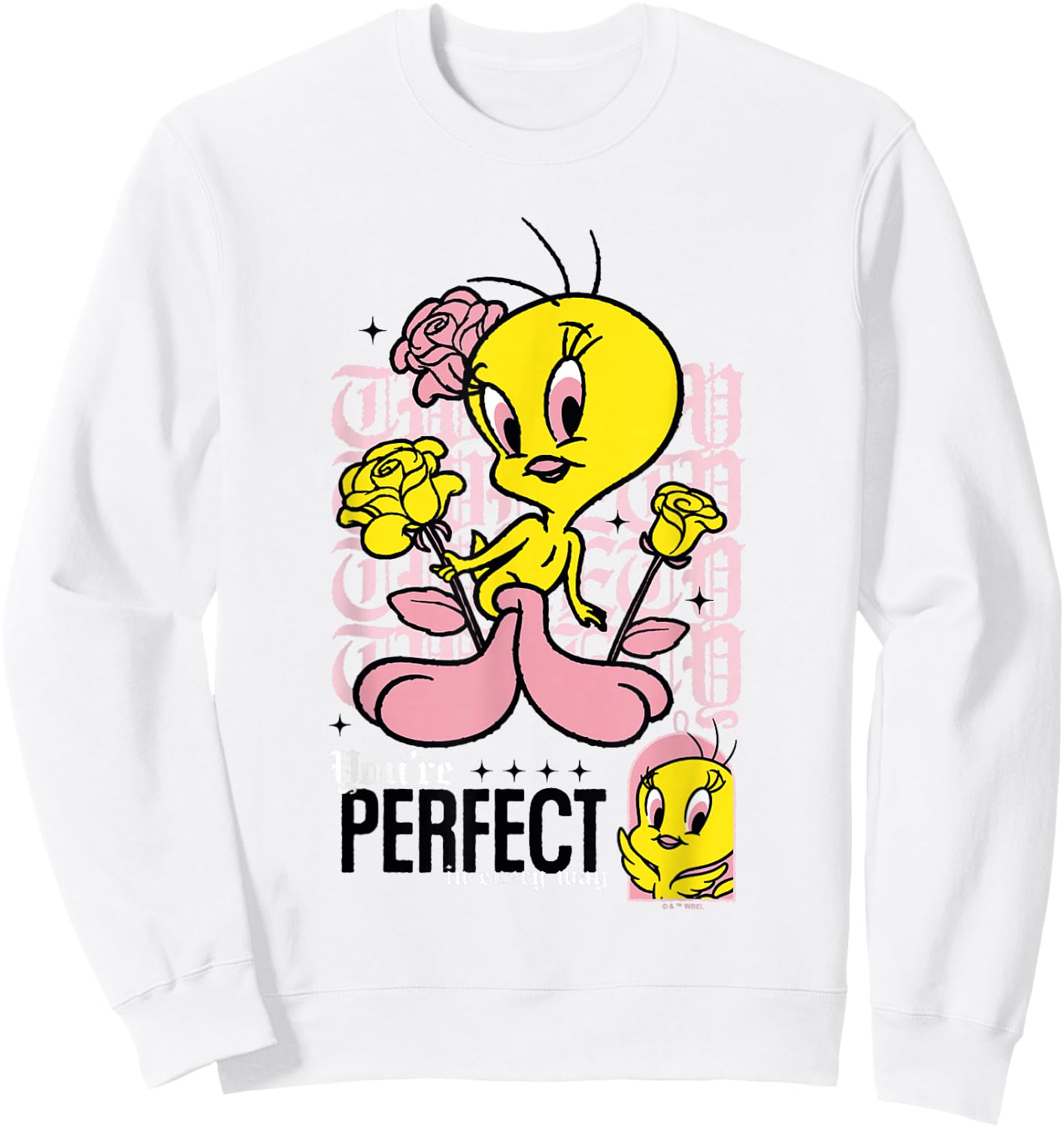 Looney Tunes Tweety Bird You're Perfect in Every Way Retro Sweatshirt - Sweatshirt | White