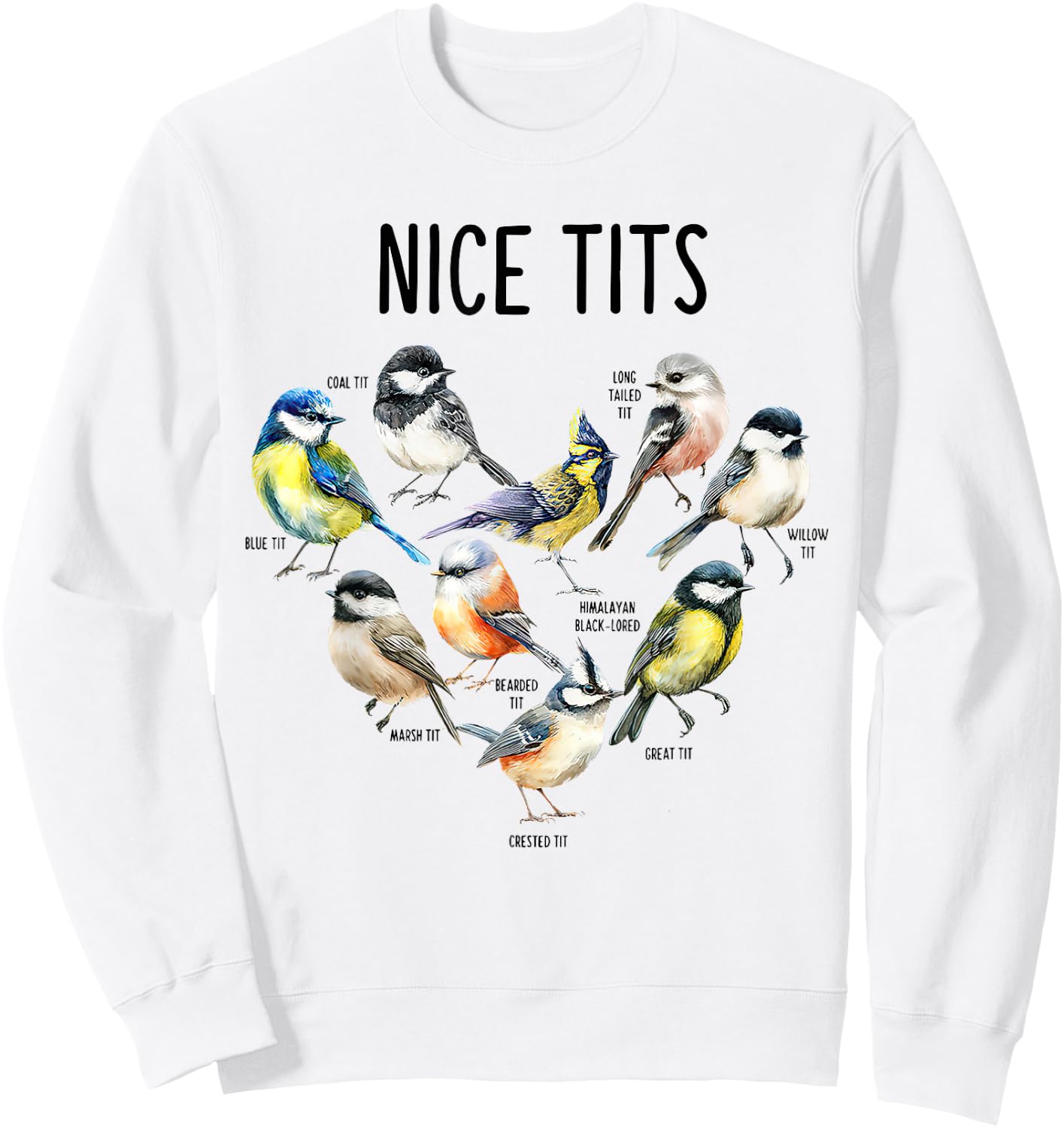 Retro Funny Nice Tits Birds Birdwatcher Bird Watching Humor Sweatshirt - Sweatshirt | White