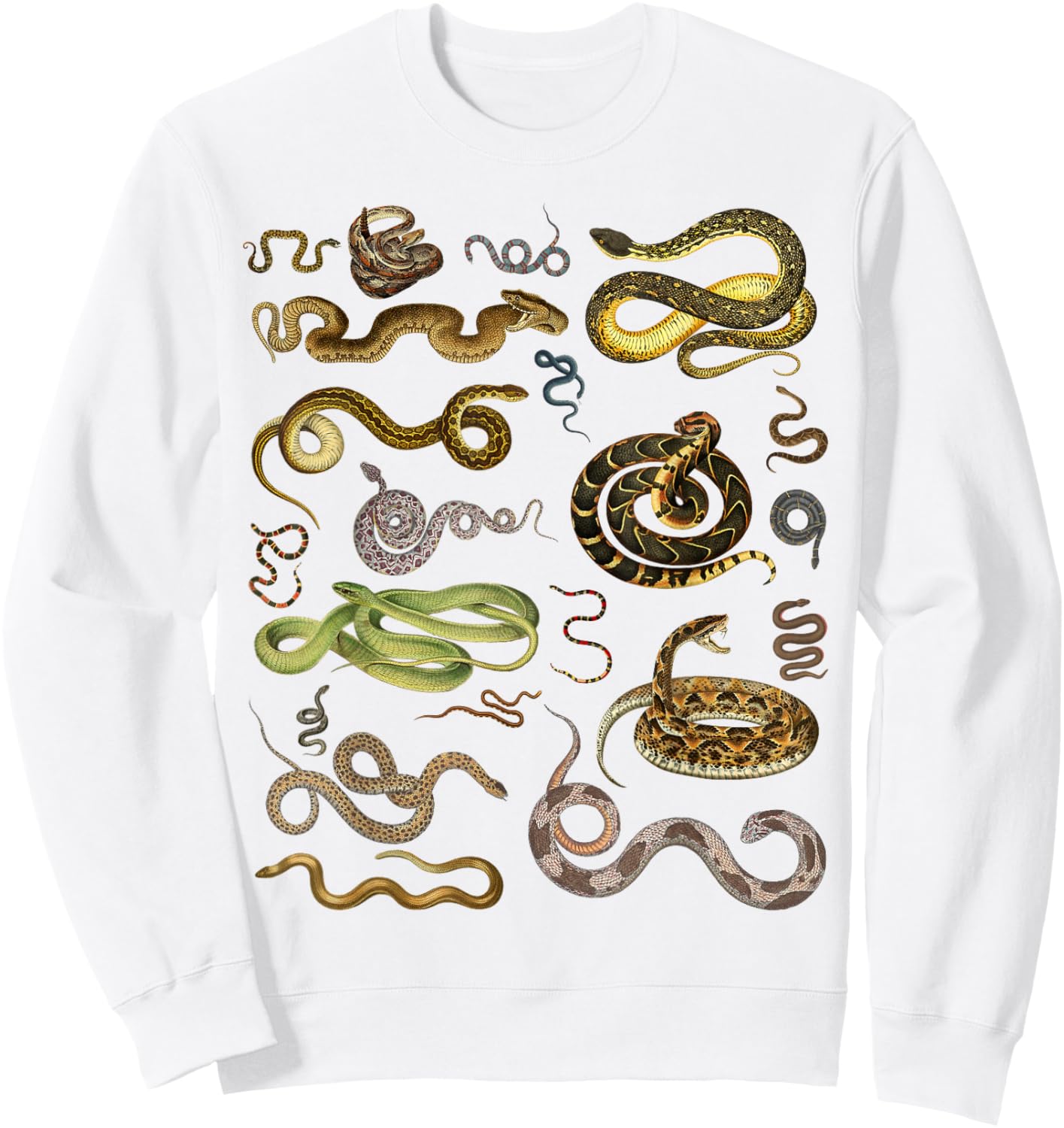 Types Of Snakes Educational Herpetologist Kids Boys Girls Sweatshirt - Sweatshirt | White