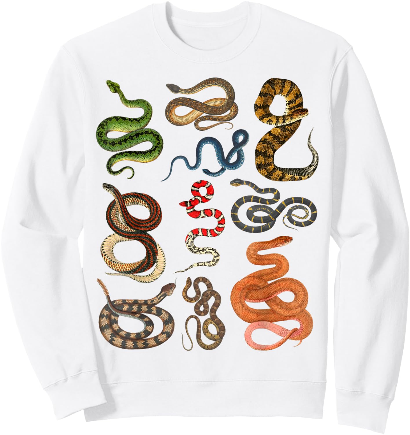Types Of Snakes Educational Herpetologist Kids Boys Girls Sweatshirt - Sweatshirt | White