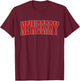 NEWBERRY SC SOUTH CAROLINA Varsity Style USA Vintage Sports T-Shirt - T-Shirt | Maroon