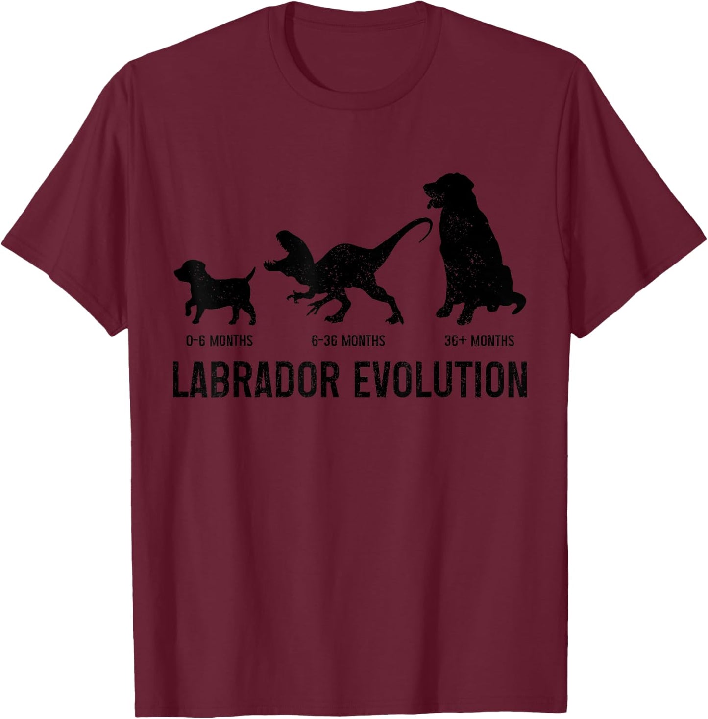 Labrador Evolution Funny Labrador Retriever Mom Dad Dog T-Shirt - T-Shirt | Maroon