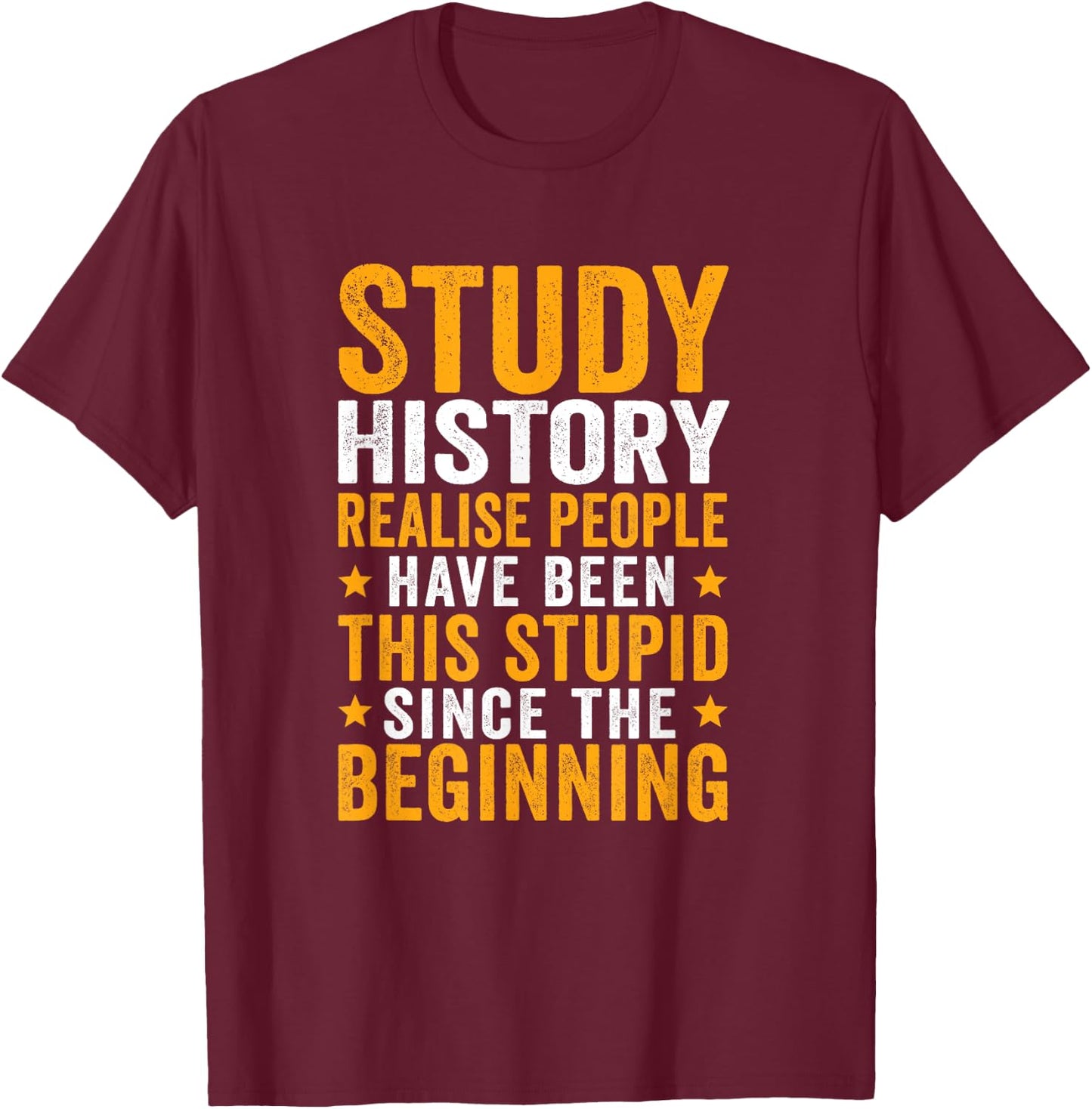 This Stupid Since The Beginning History T-Shirt - T-Shirt | Maroon