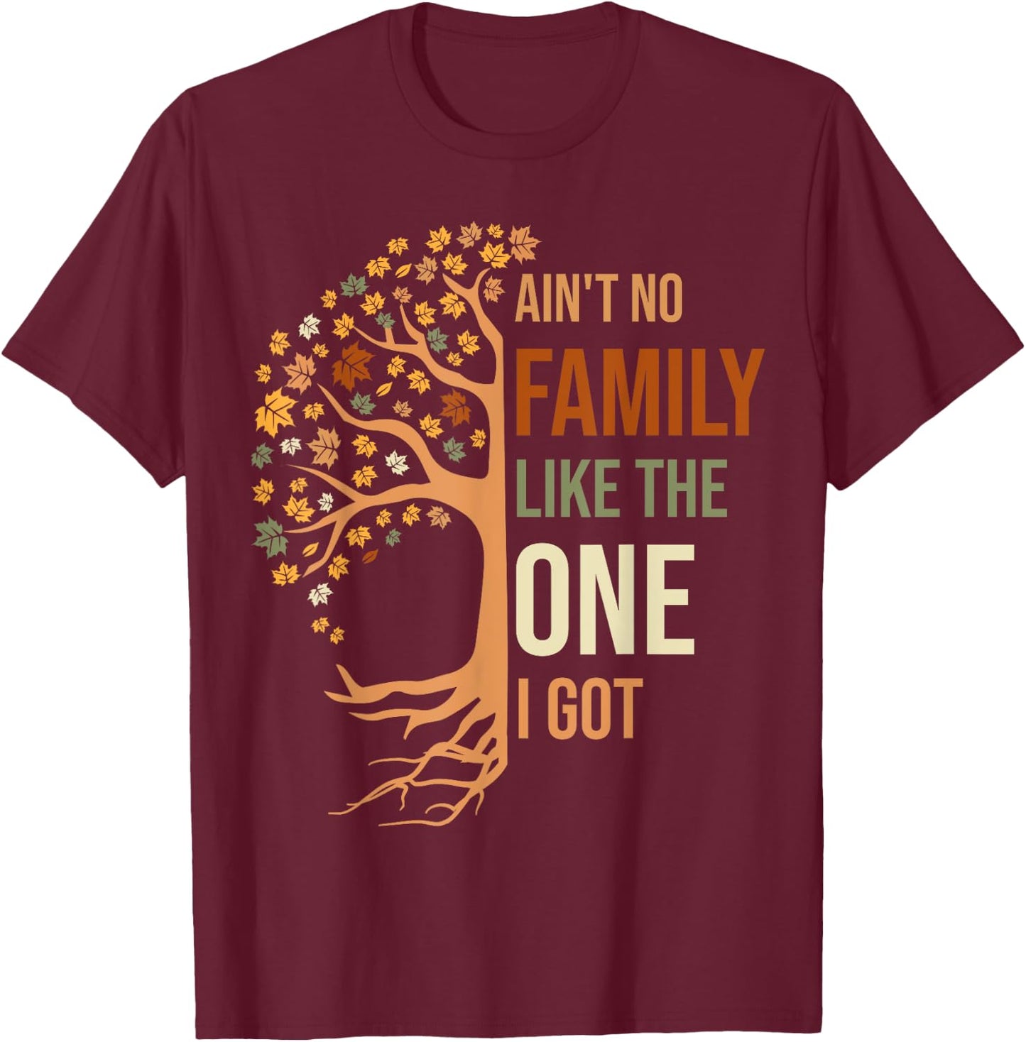 Ain't No Family Like The One I Got Funny Family Reunion T-Shirt - T-Shirt | Maroon