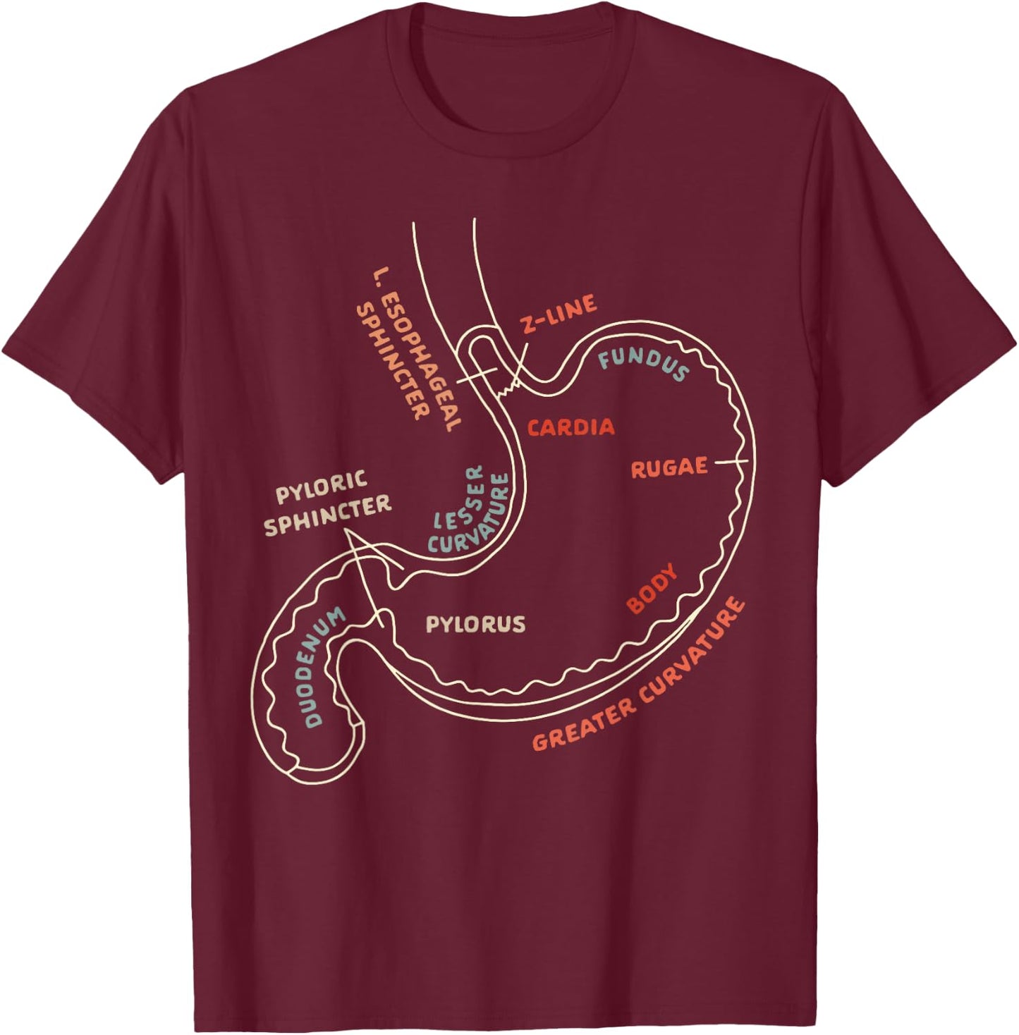 Gastroenterologist GI Nurse Gastroparesis Stomach Anatomy T-Shirt - T-Shirt | Maroon