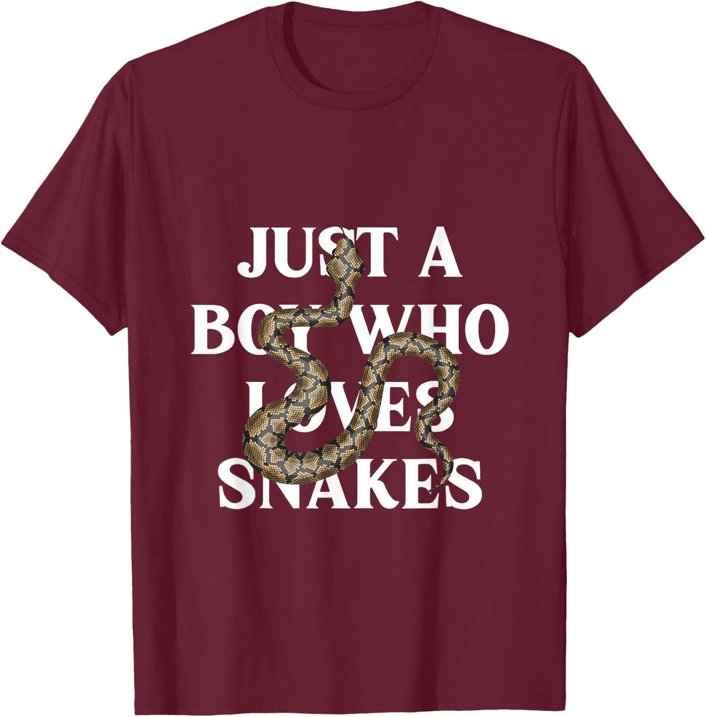 Boy Who Loves Snakes Reptile Reptiles Animal Pet Gift T-Shirt - T-Shirt | Maroon