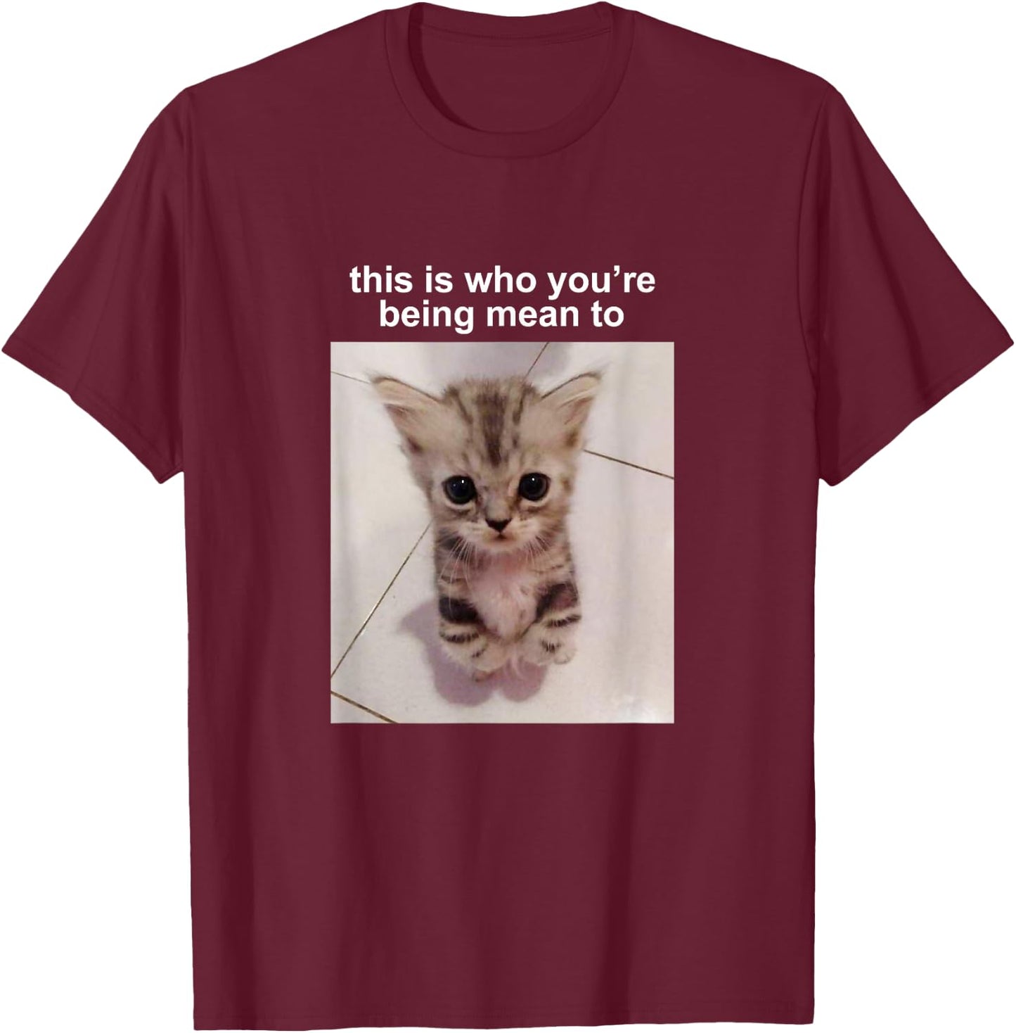 This is Who You're Being Mean to Silly Cat Meme T-Shirt - T-Shirt | Maroon